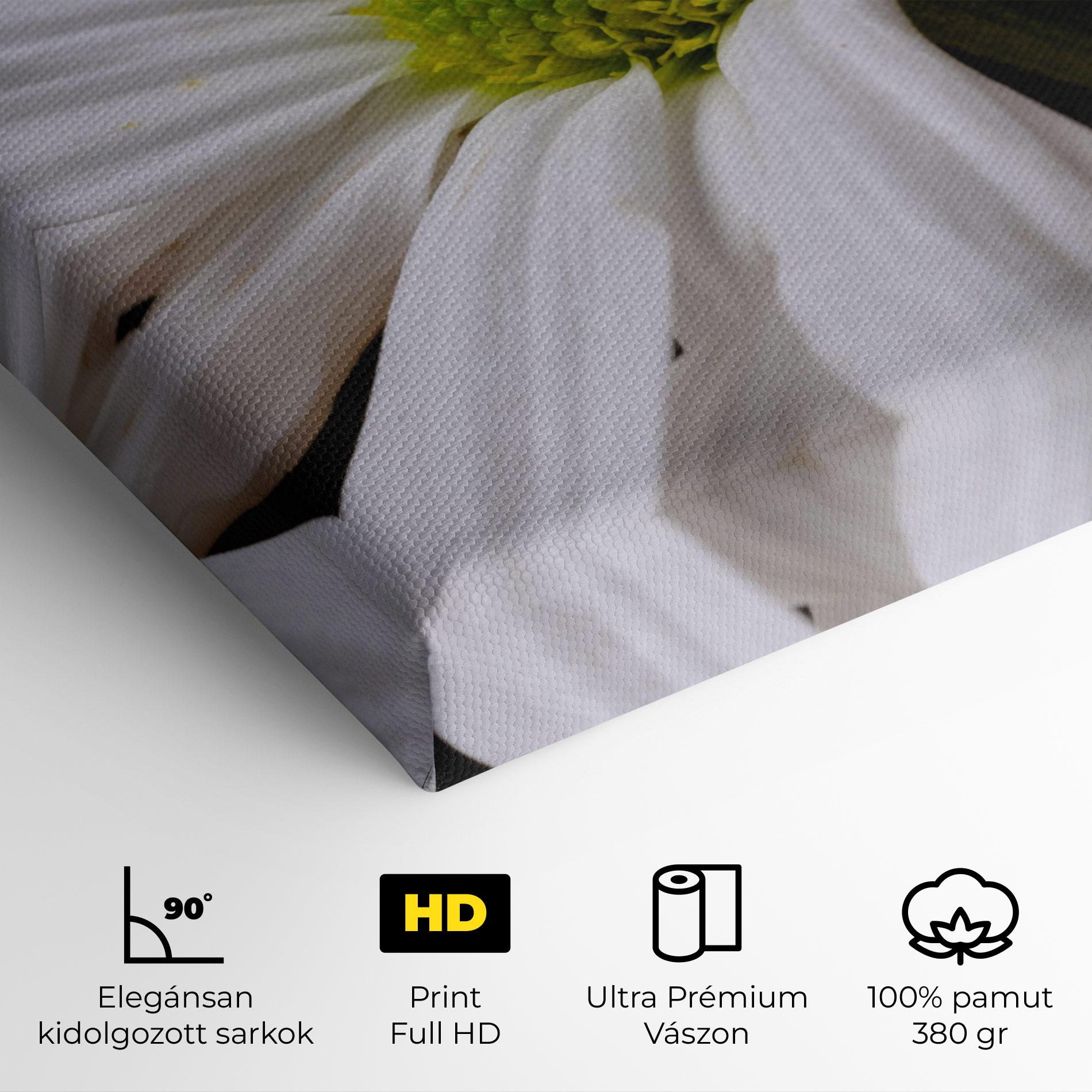 Vászonkép Green Middle Daisy mockup 4