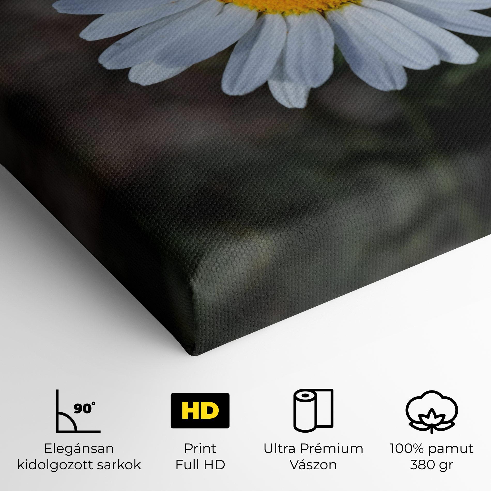 Vászonkép Strong Yellow Daisy mockup 4