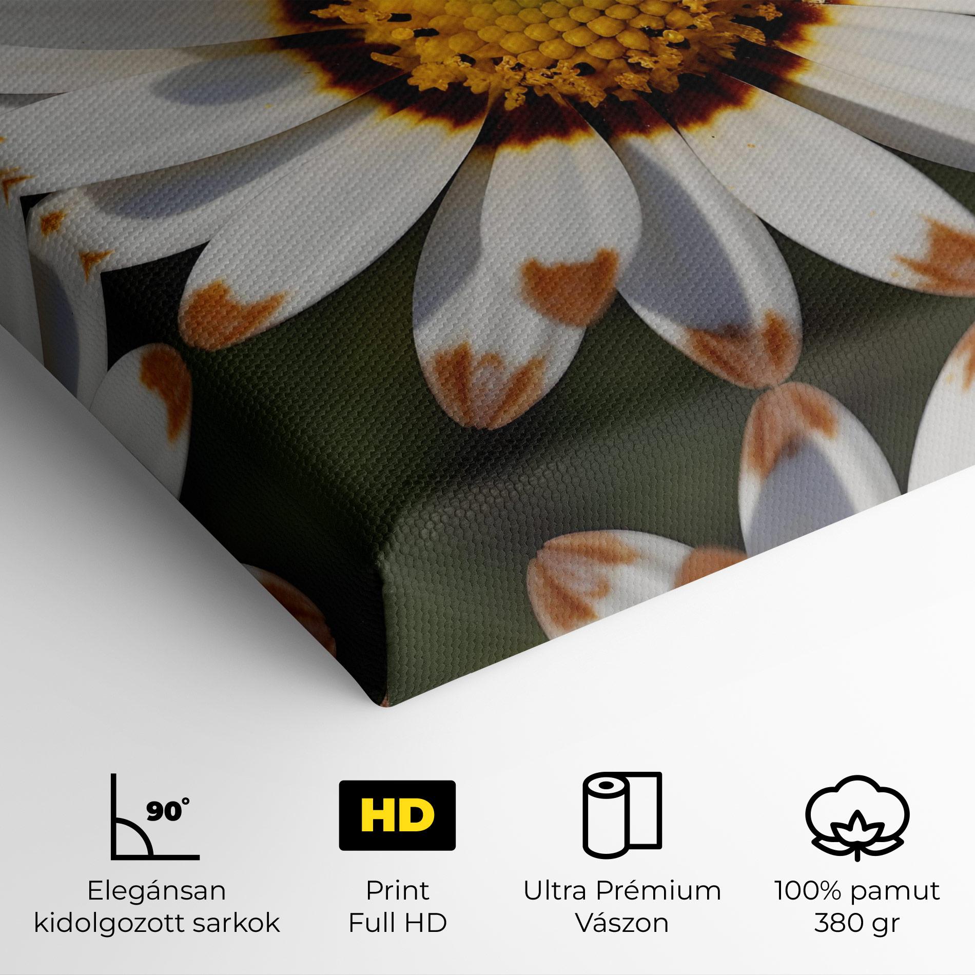 Vászonkép White Brown Daisy mockup 4