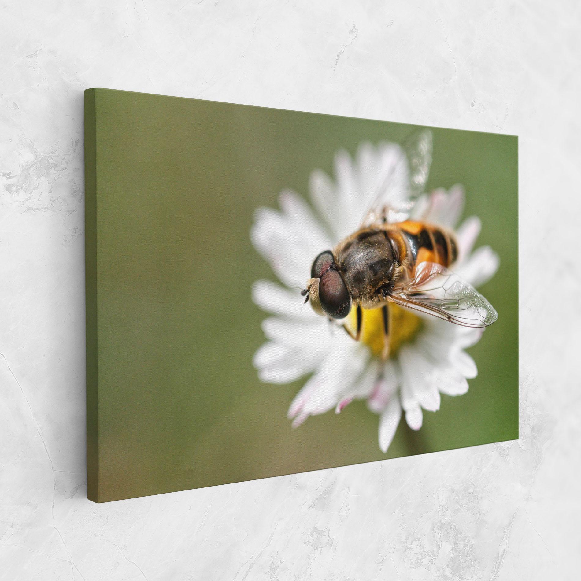 Vászonkép Bee On Small Daisy mockup 1