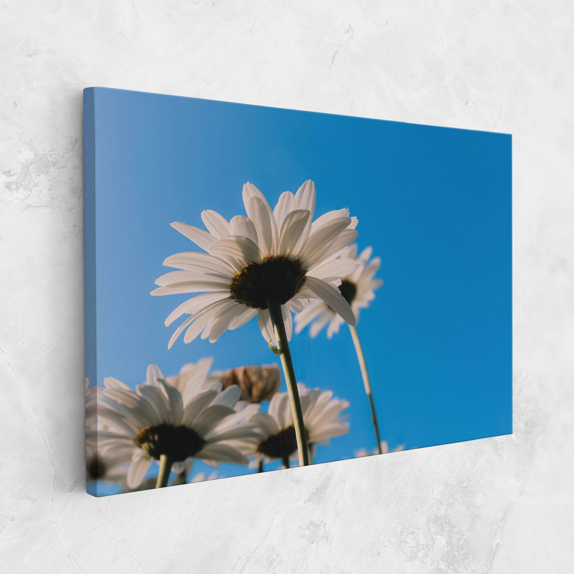 Vászonkép Blue Sky Daisy mockup 1