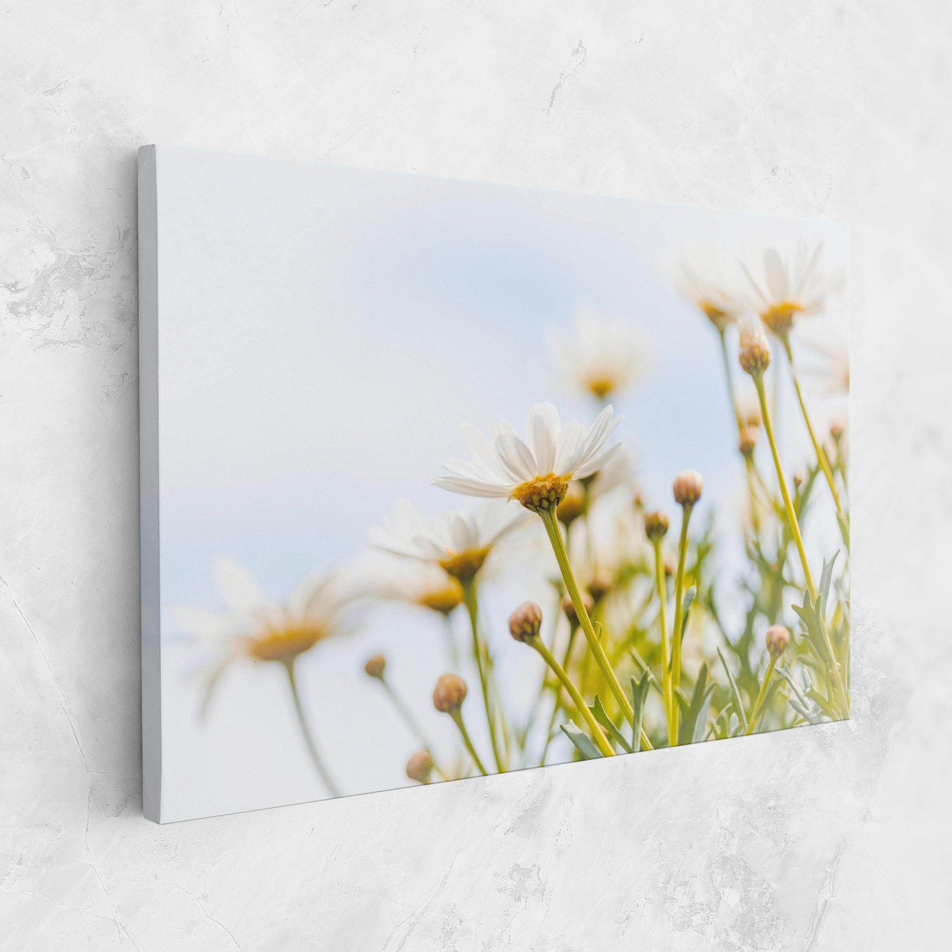 Vászonkép Dreamy Daisy mockup 1