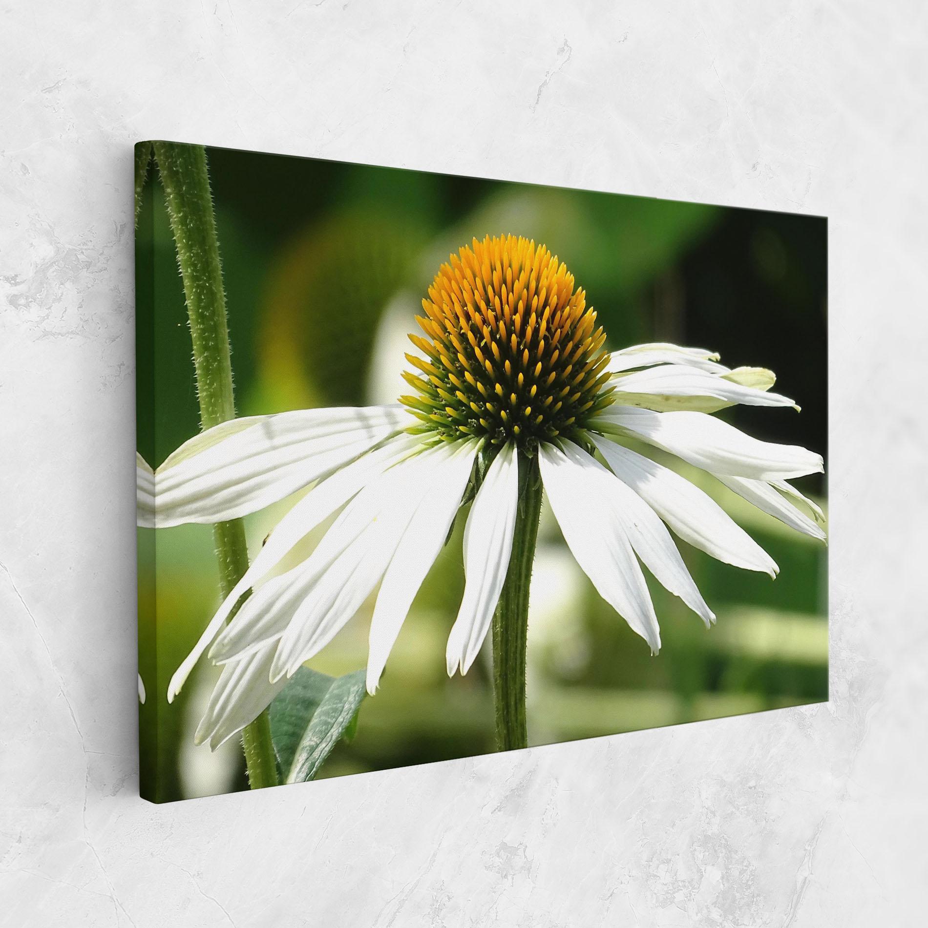 Vászonkép Green Daisy mockup 1