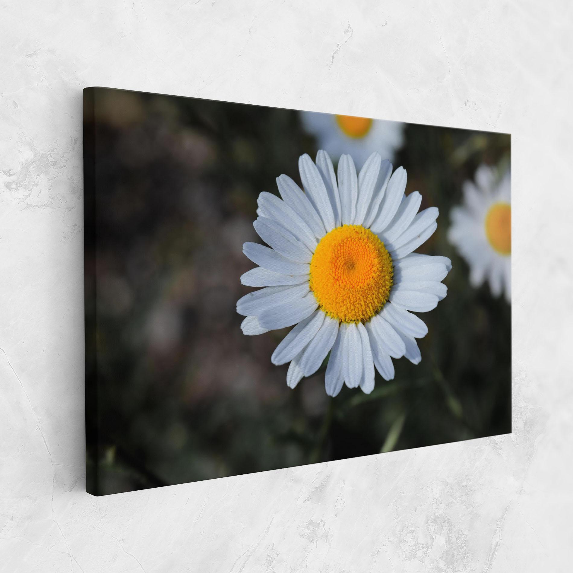 Vászonkép Strong Yellow Daisy mockup 1