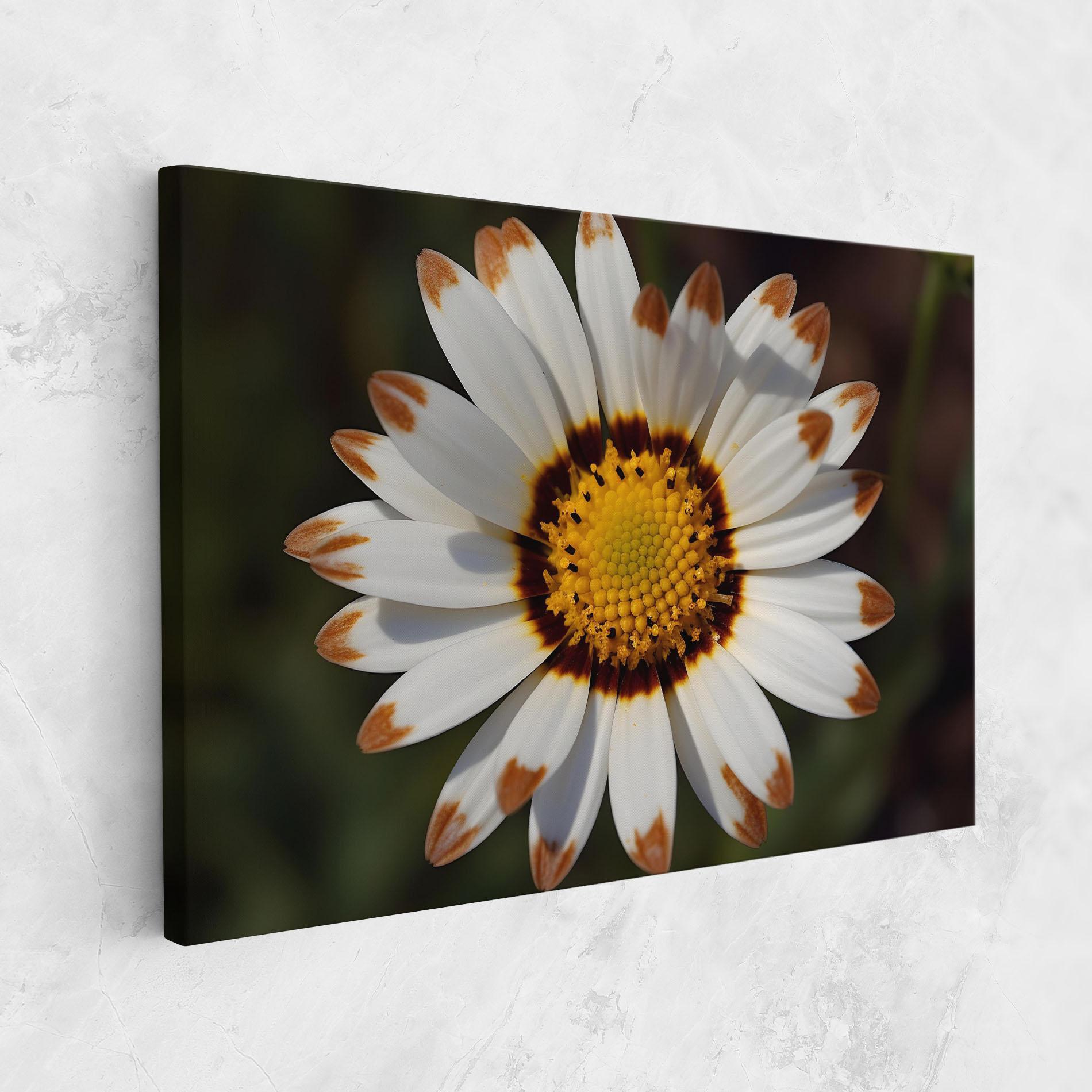 Vászonkép White Brown Daisy mockup 1