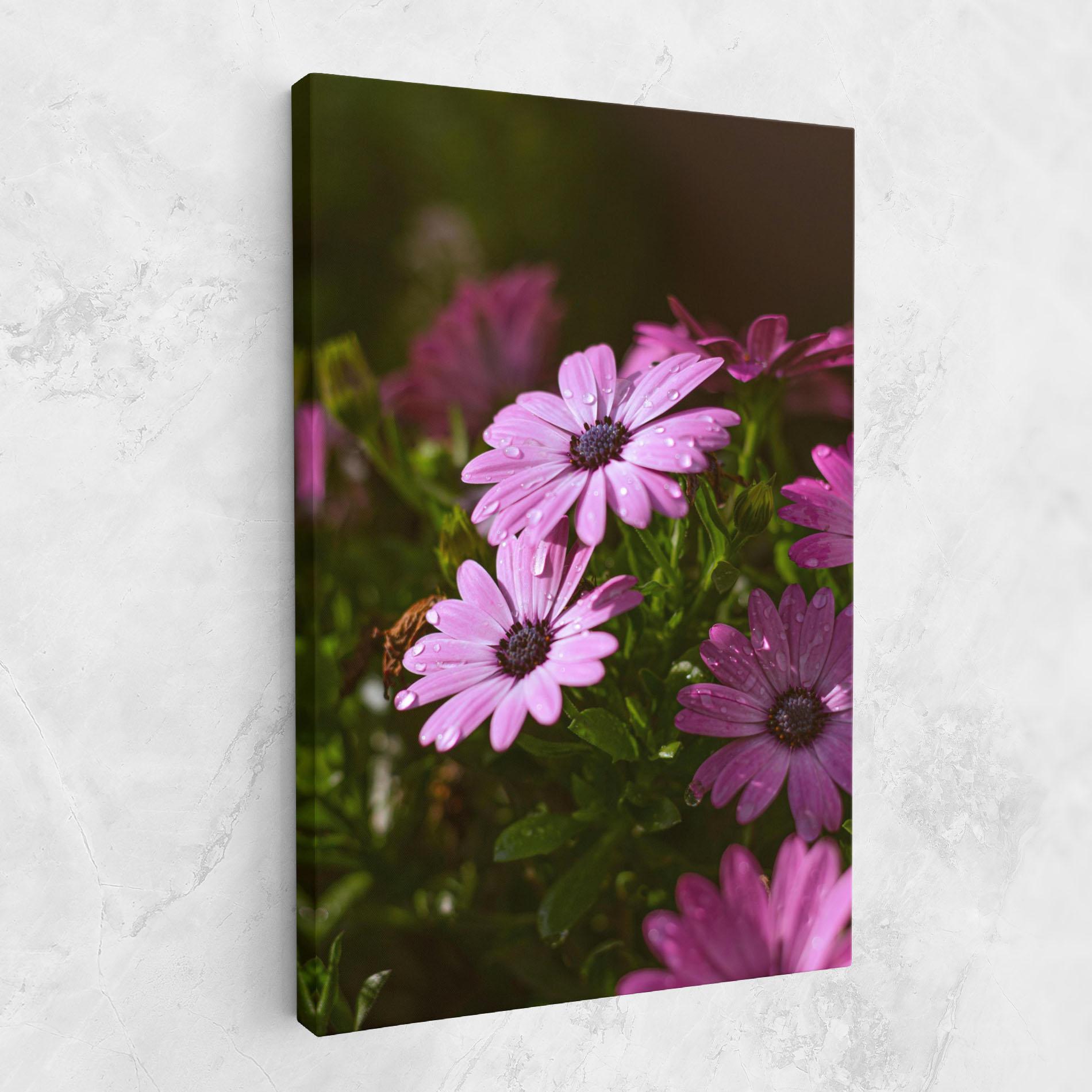 Vászonkép Purple Daisy mockup 1