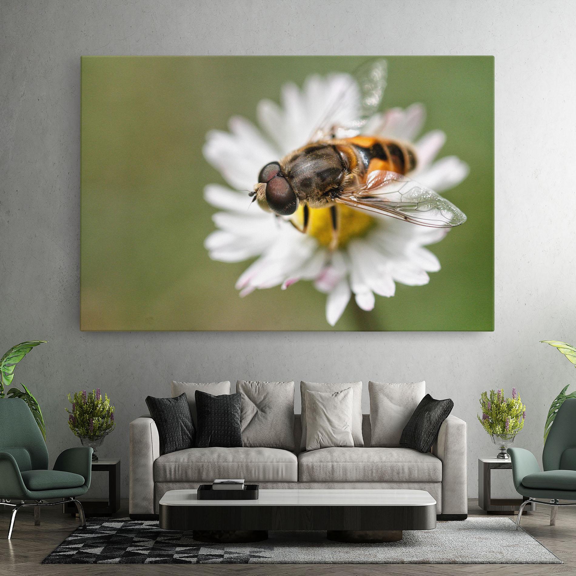Vászonkép Bee On Small Daisy mockup 7