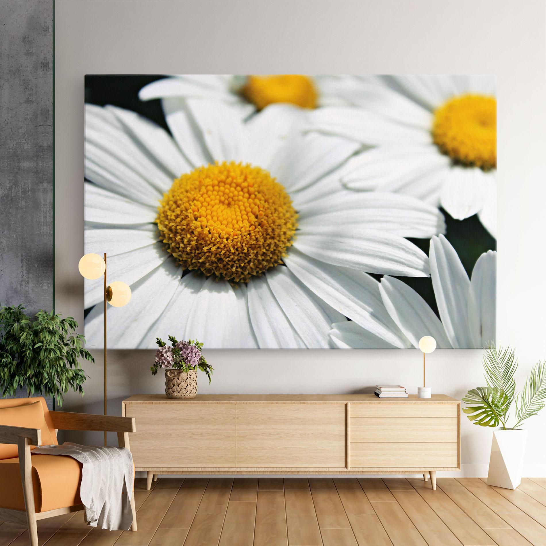 Vászonkép Big Daisies mockup 9
