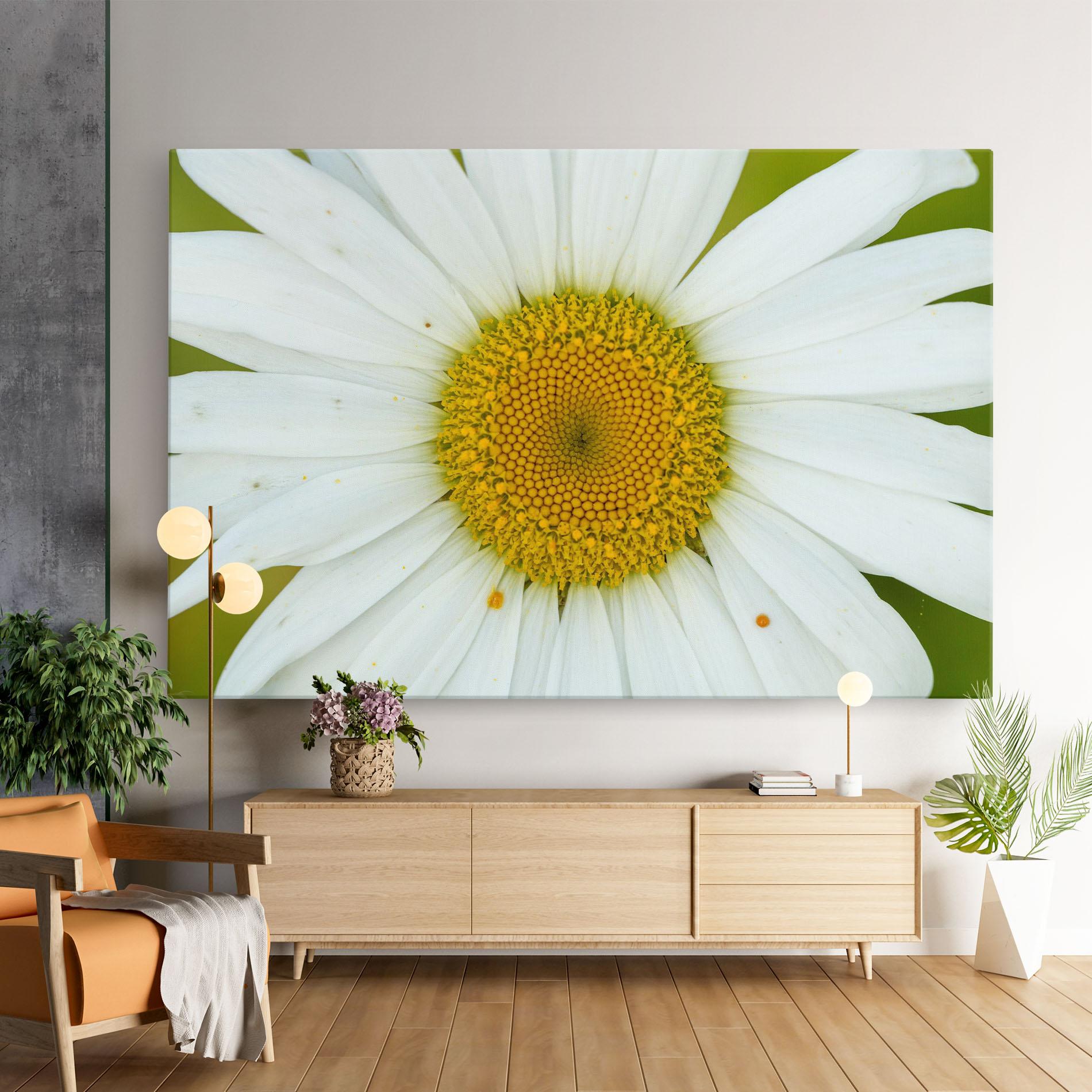 Vászonkép Daisy Close Up mockup 9
