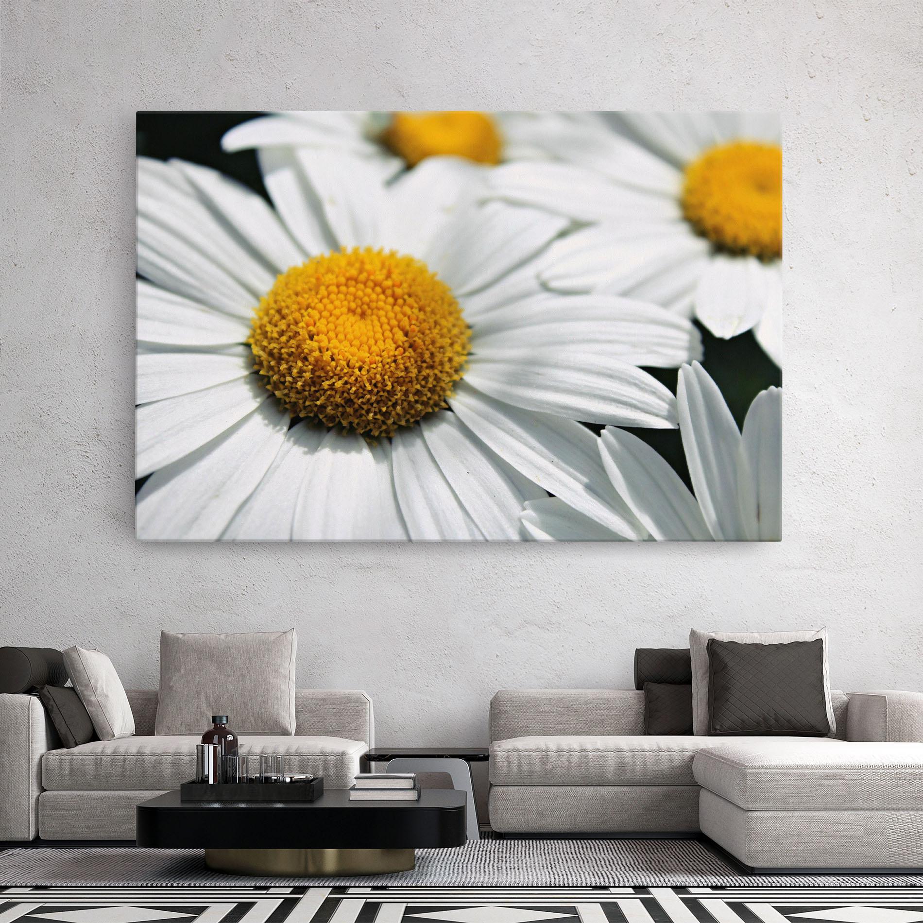 Vászonkép Big Daisies mockup 2