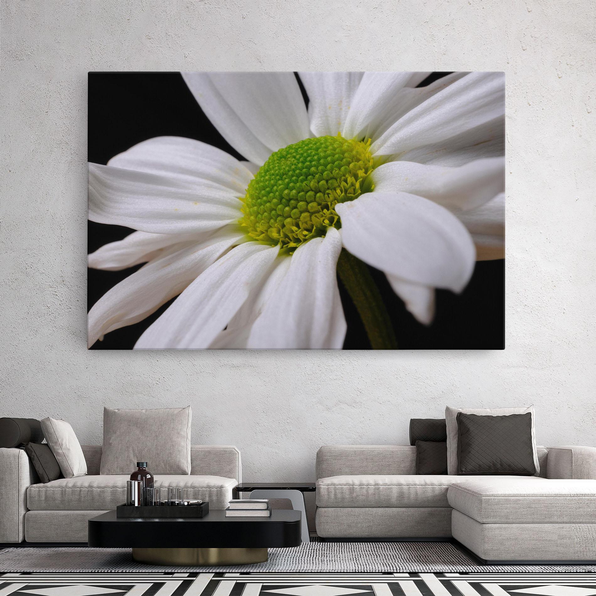 Vászonkép Green Middle Daisy mockup 2