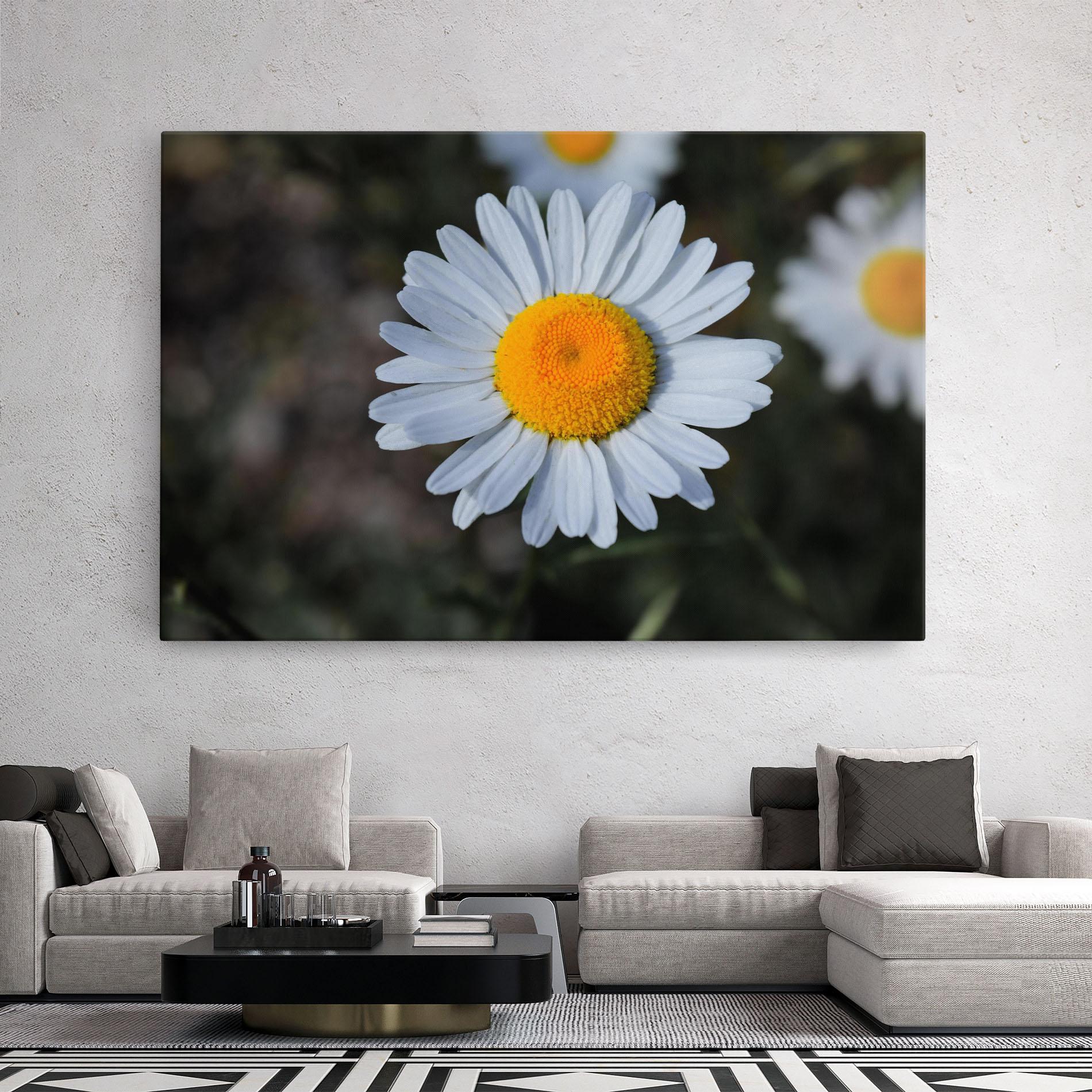 Vászonkép Strong Yellow Daisy mockup 2