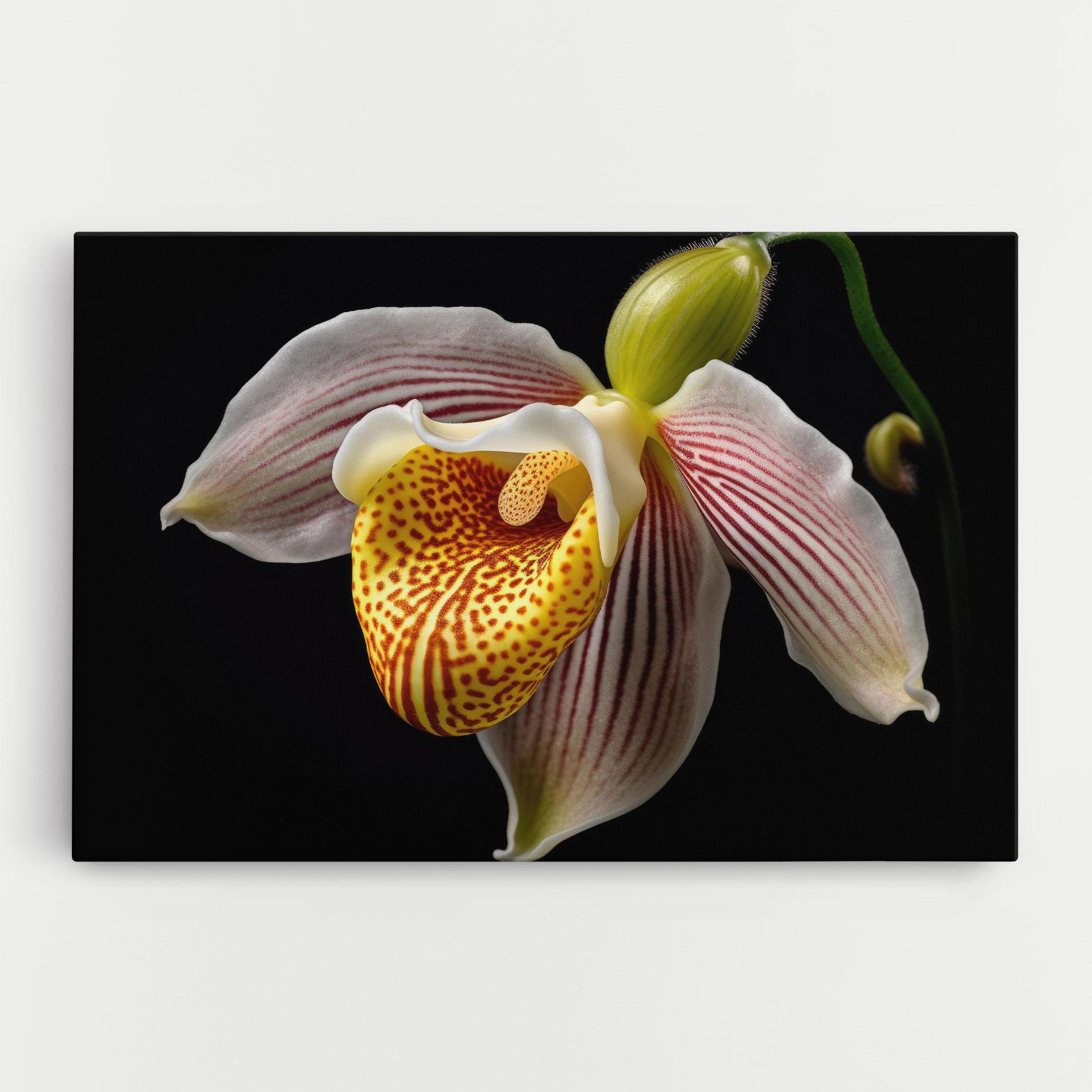Vászonkép Orchid On Black mockup 0