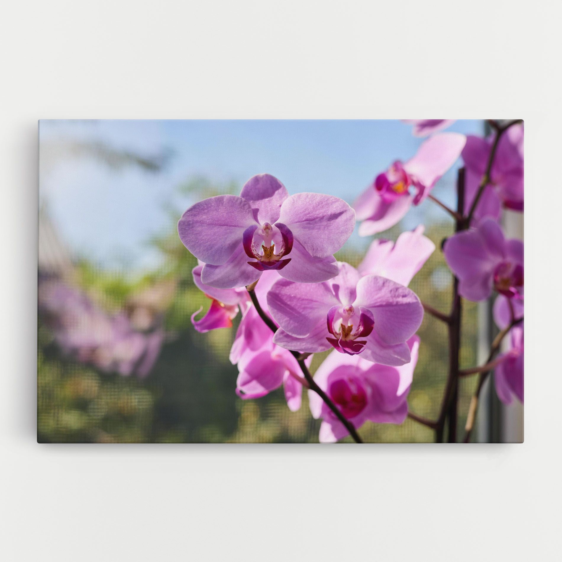 Orchids In The Garden mockup 0
