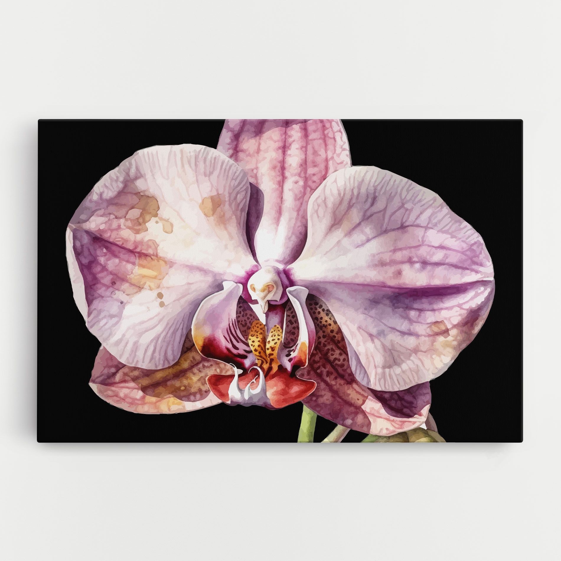 Painted Orchid mockup 0