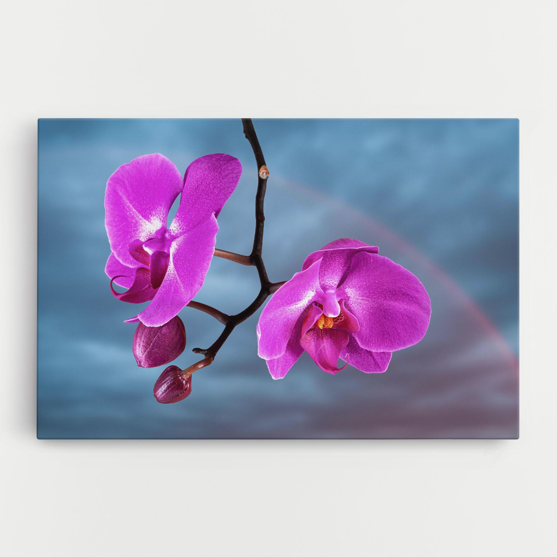 Vászonkép Sky Purple Orchid mockup 0