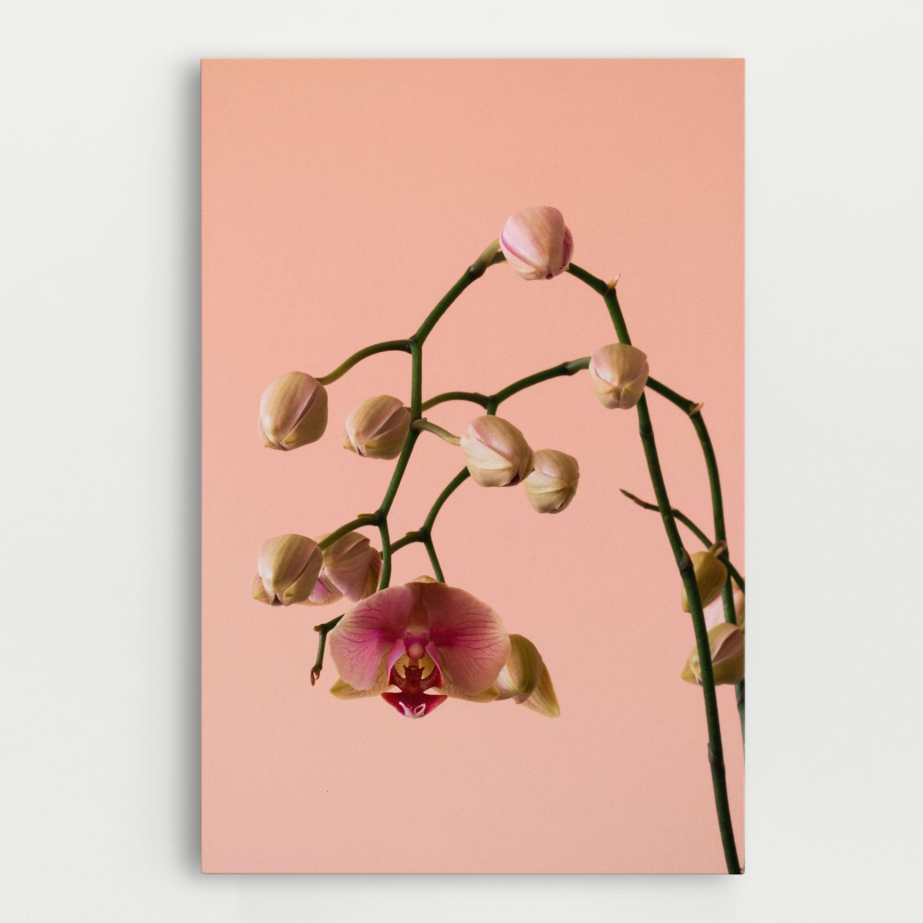 Vászonkép Orchids On Pink mockup 0