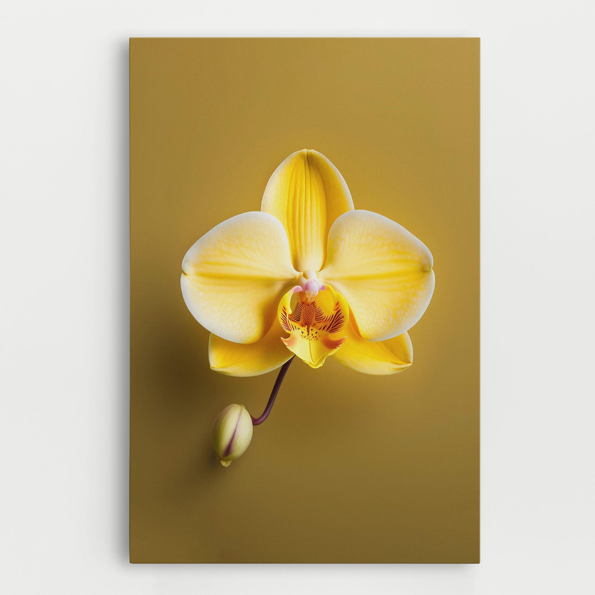 Vászonkép Pastel Yellow Orchid mockup 0