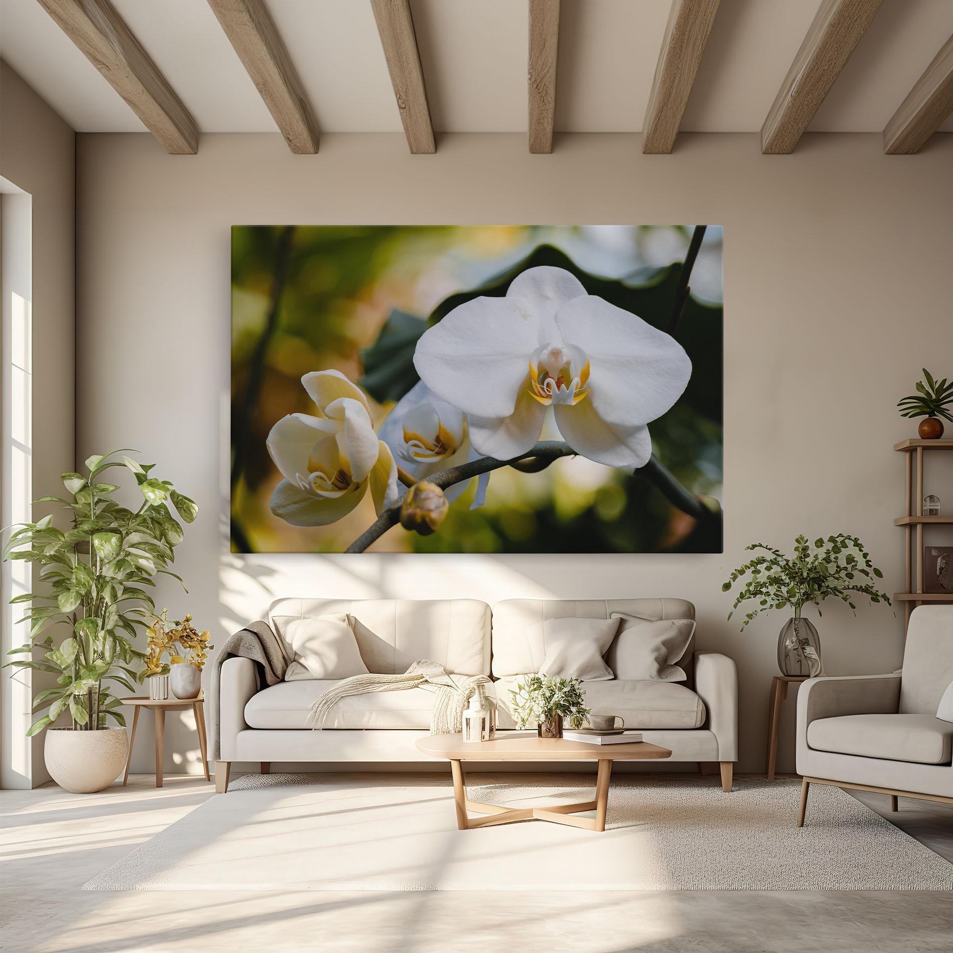 Vászonkép Cream Orchid In Nature mockup 6