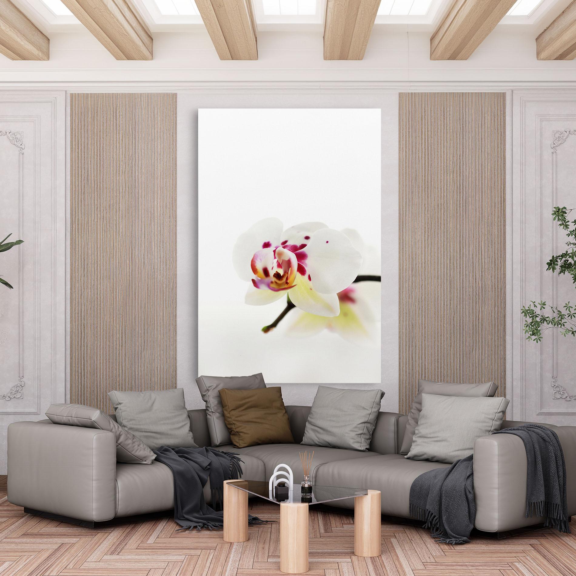 Vászonkép Clean White Orchid mockup 6