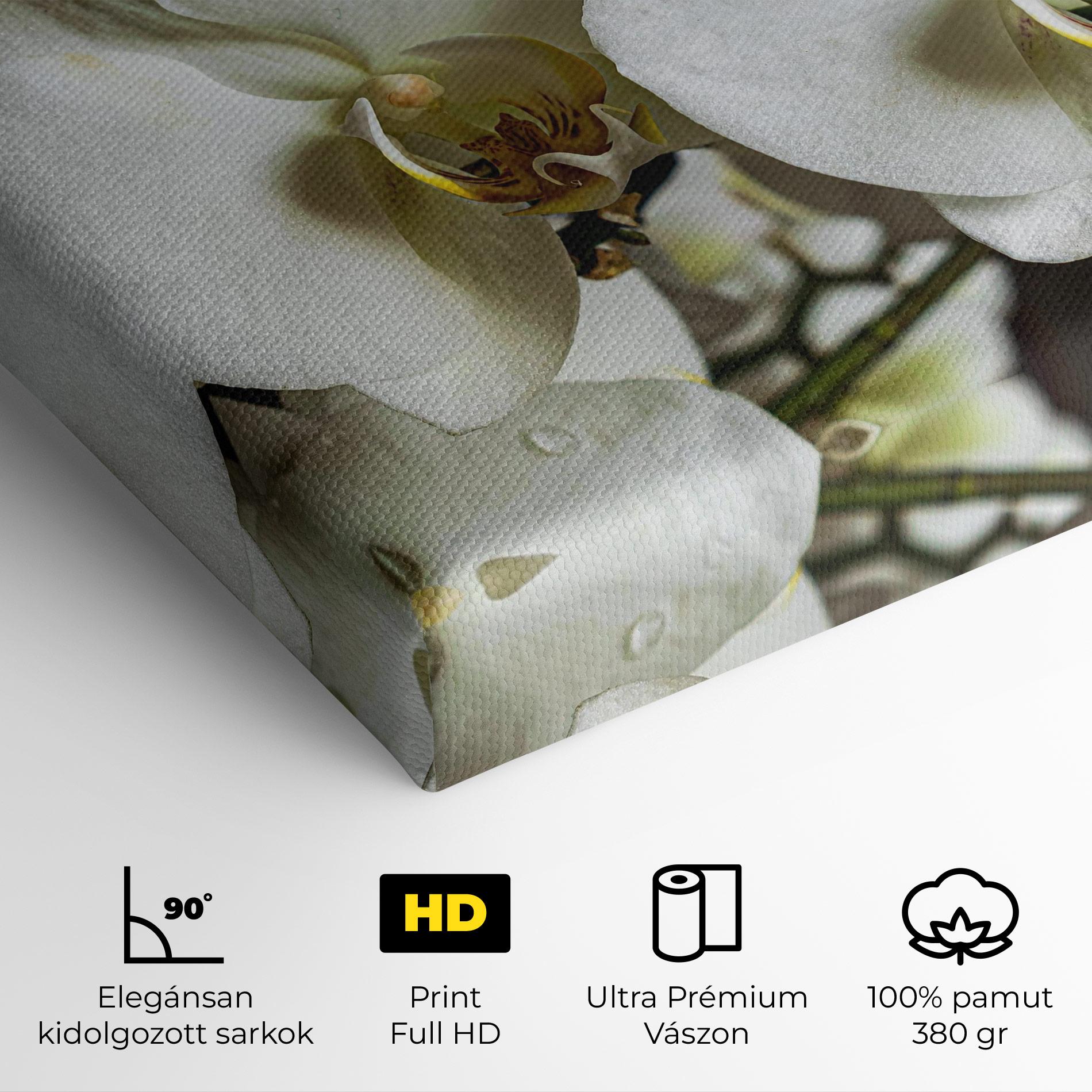 Vászonkép Beautiful White Orchids mockup 4