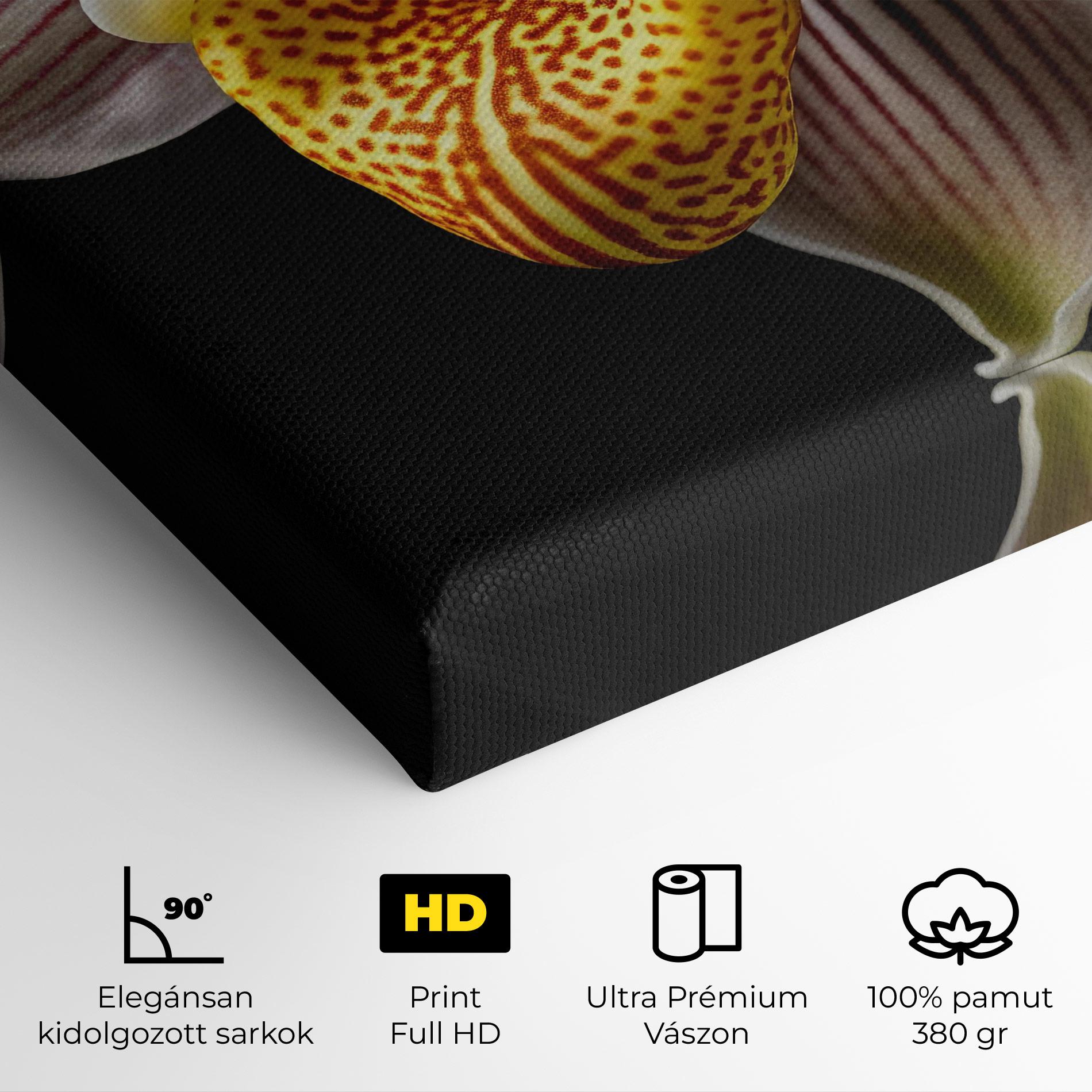 Vászonkép Orchid On Black mockup 4