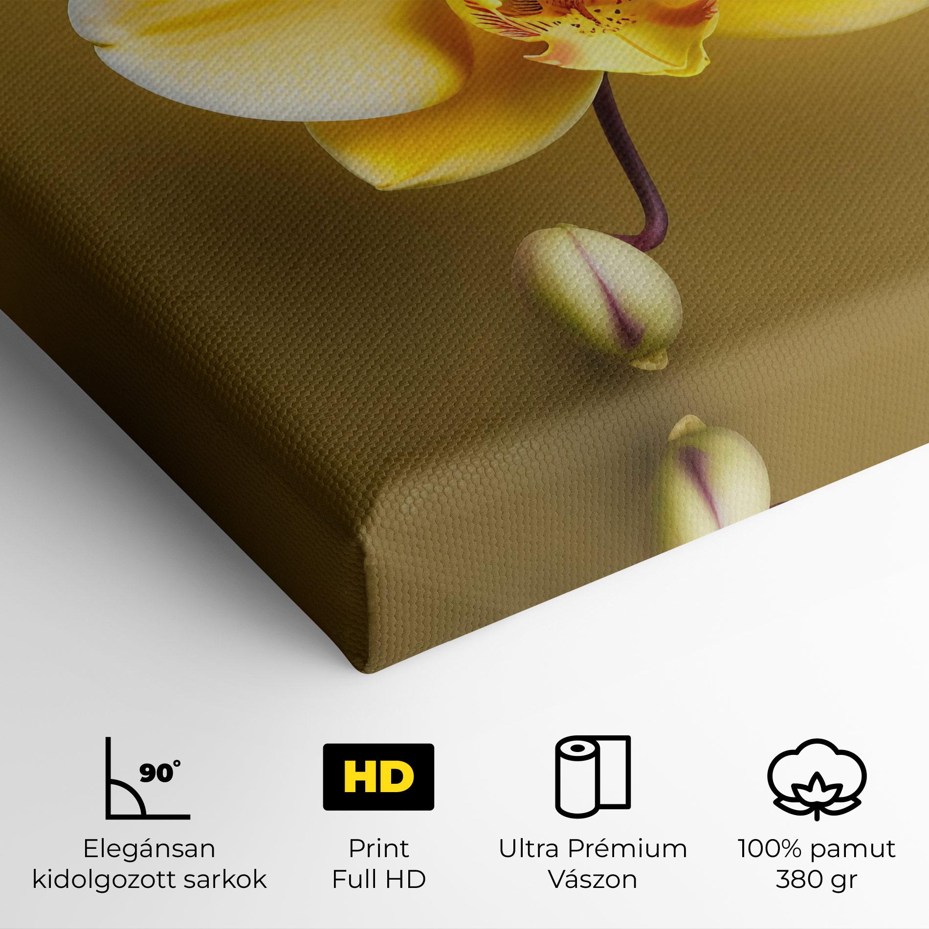 Vászonkép Pastel Yellow Orchid mockup 4