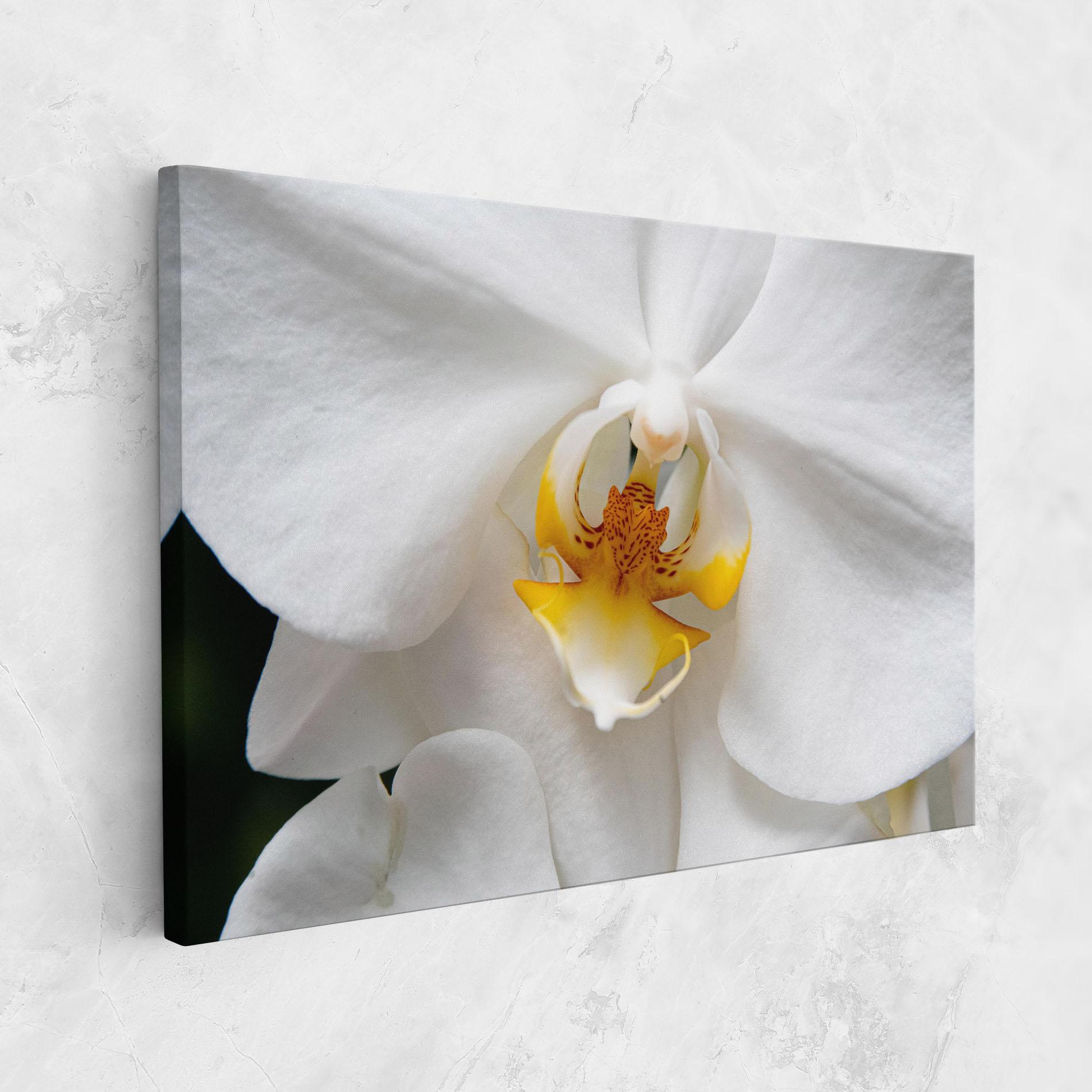 Vászonkép Big Orchid Close Up mockup 1