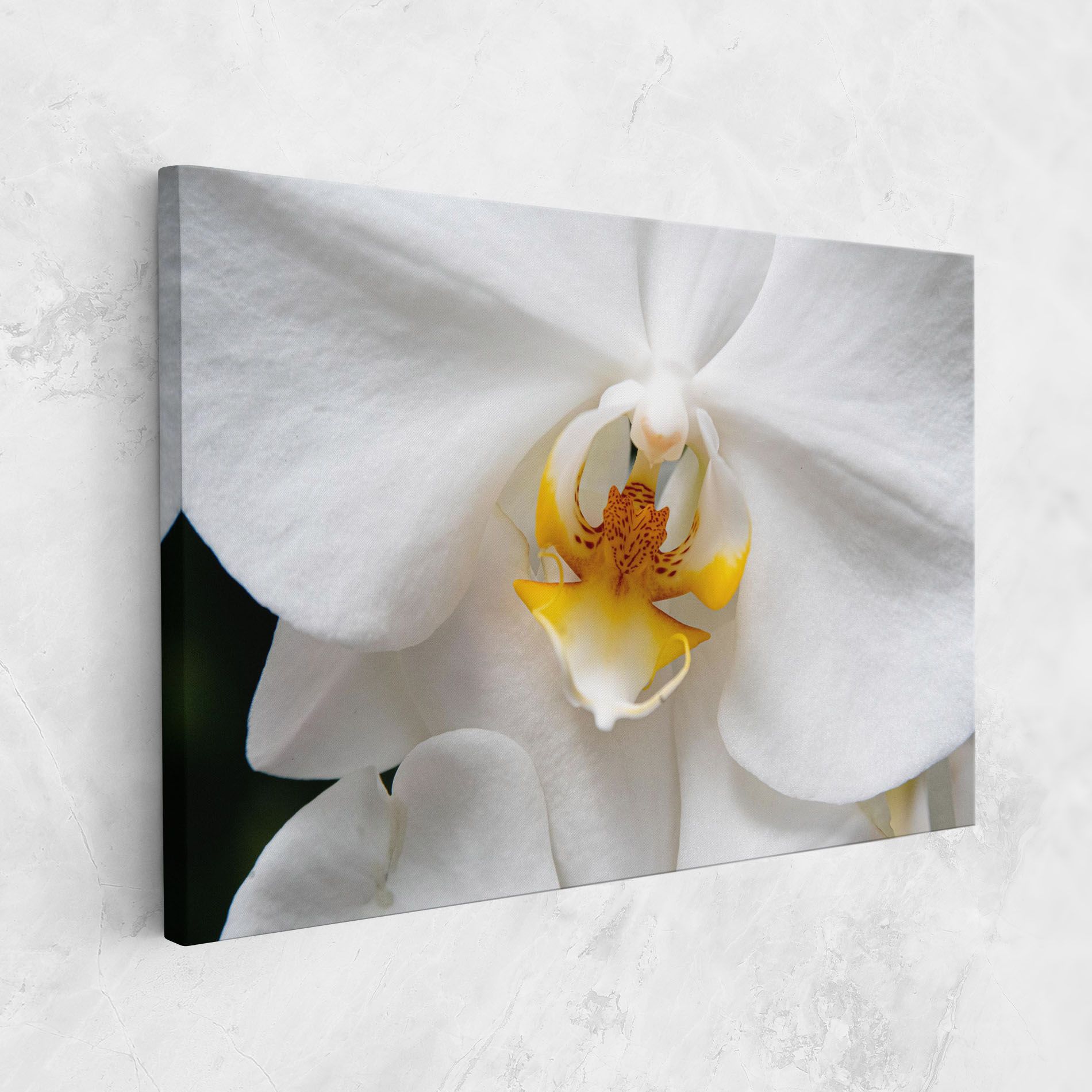 Big Orchid Close Up mockup 1