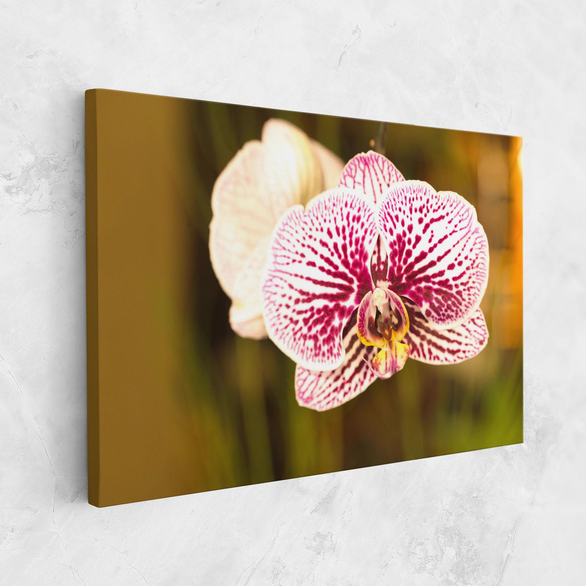 Vászonkép Garden Orchids mockup 1