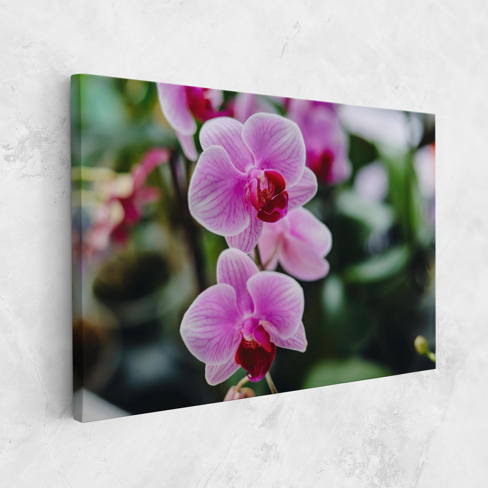 Vászonkép Garden Purple Orchids mockup 1