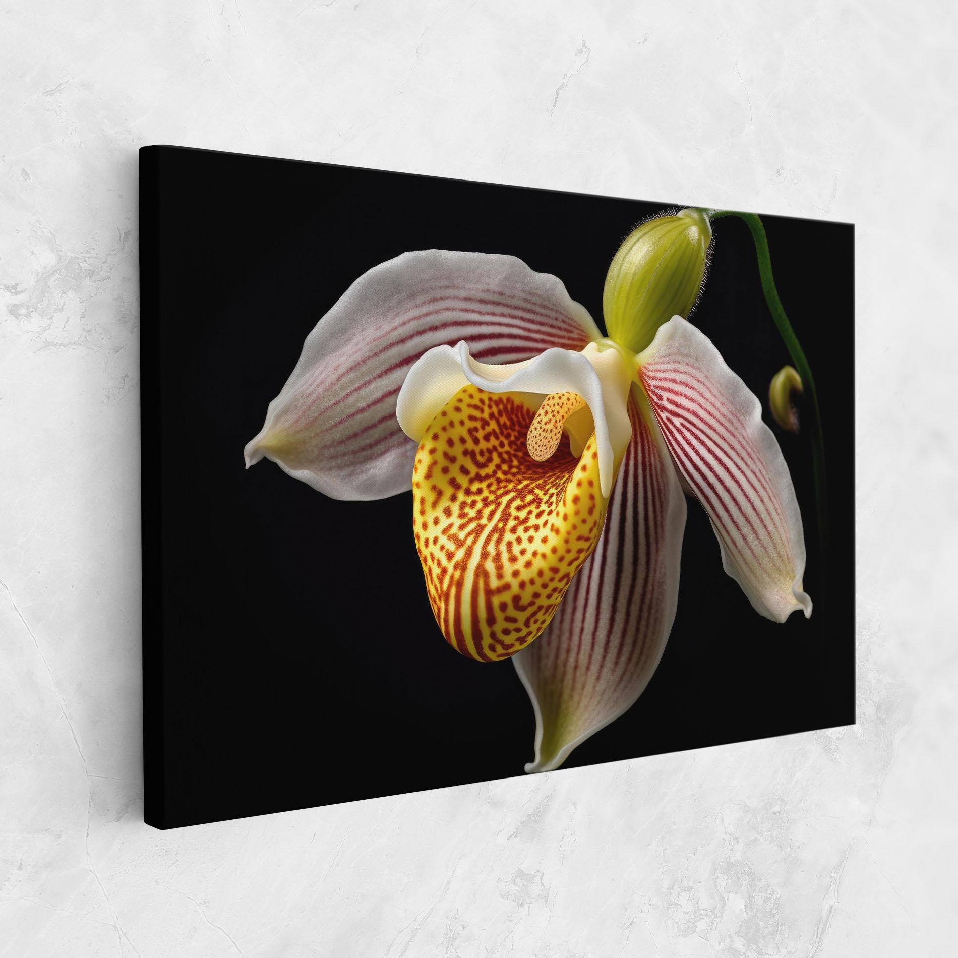 Vászonkép Orchid On Black mockup 1