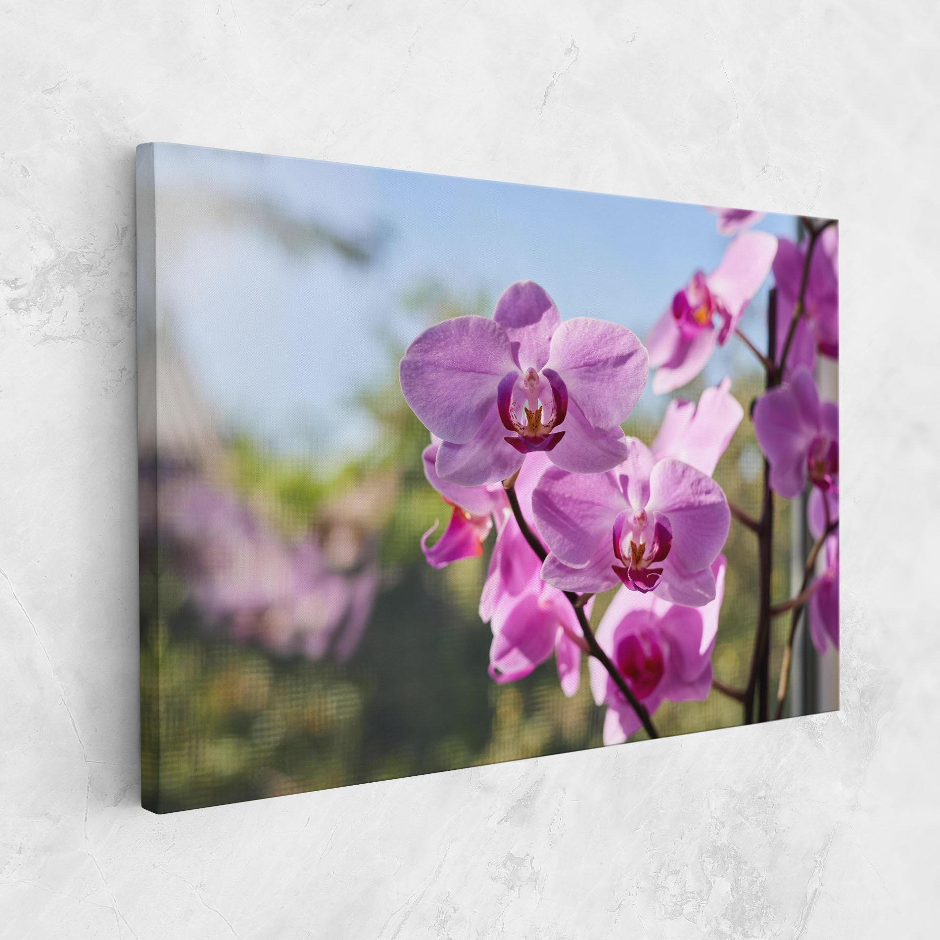 Vászonkép Orchids In The Garden mockup 1