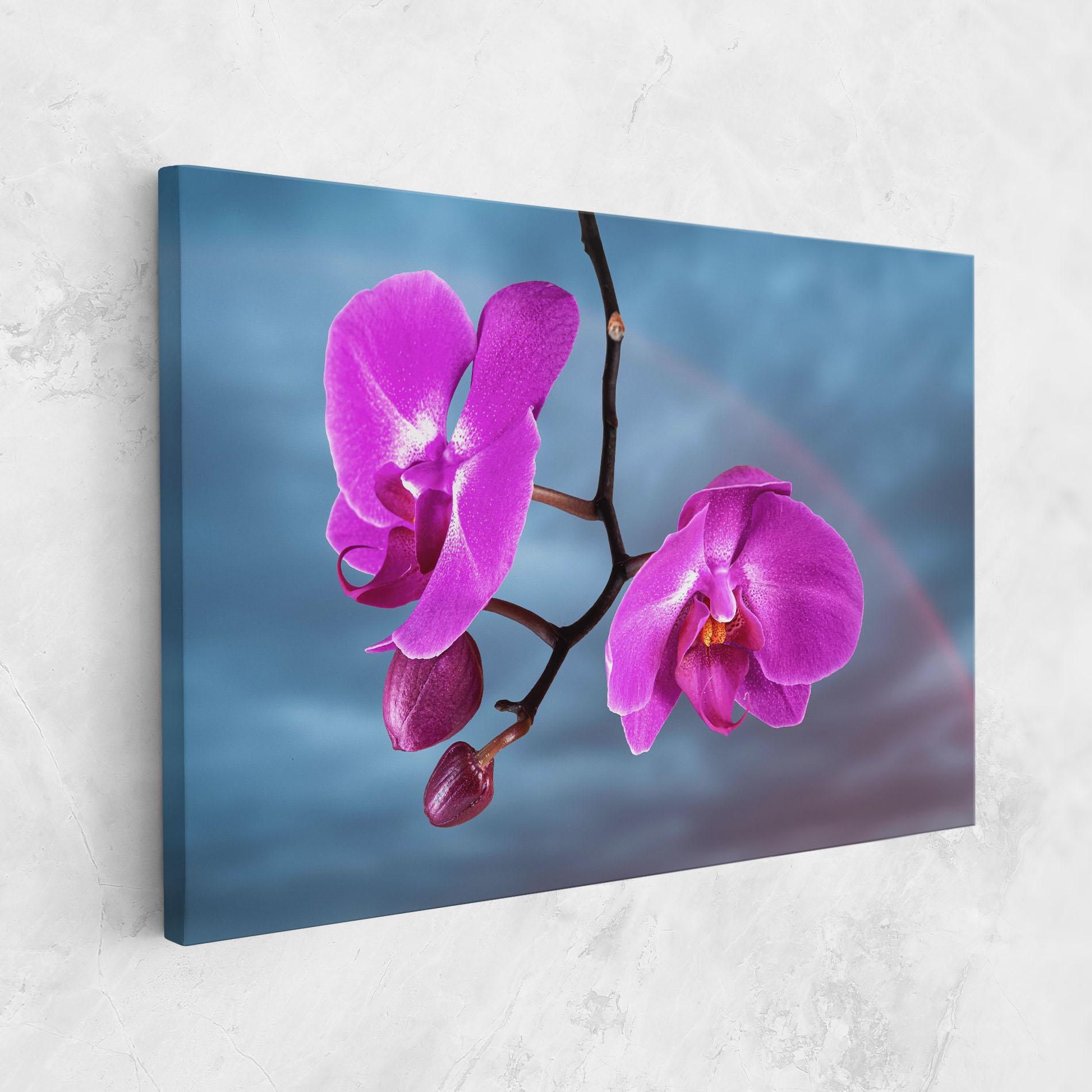 Vászonkép Sky Purple Orchid mockup 1