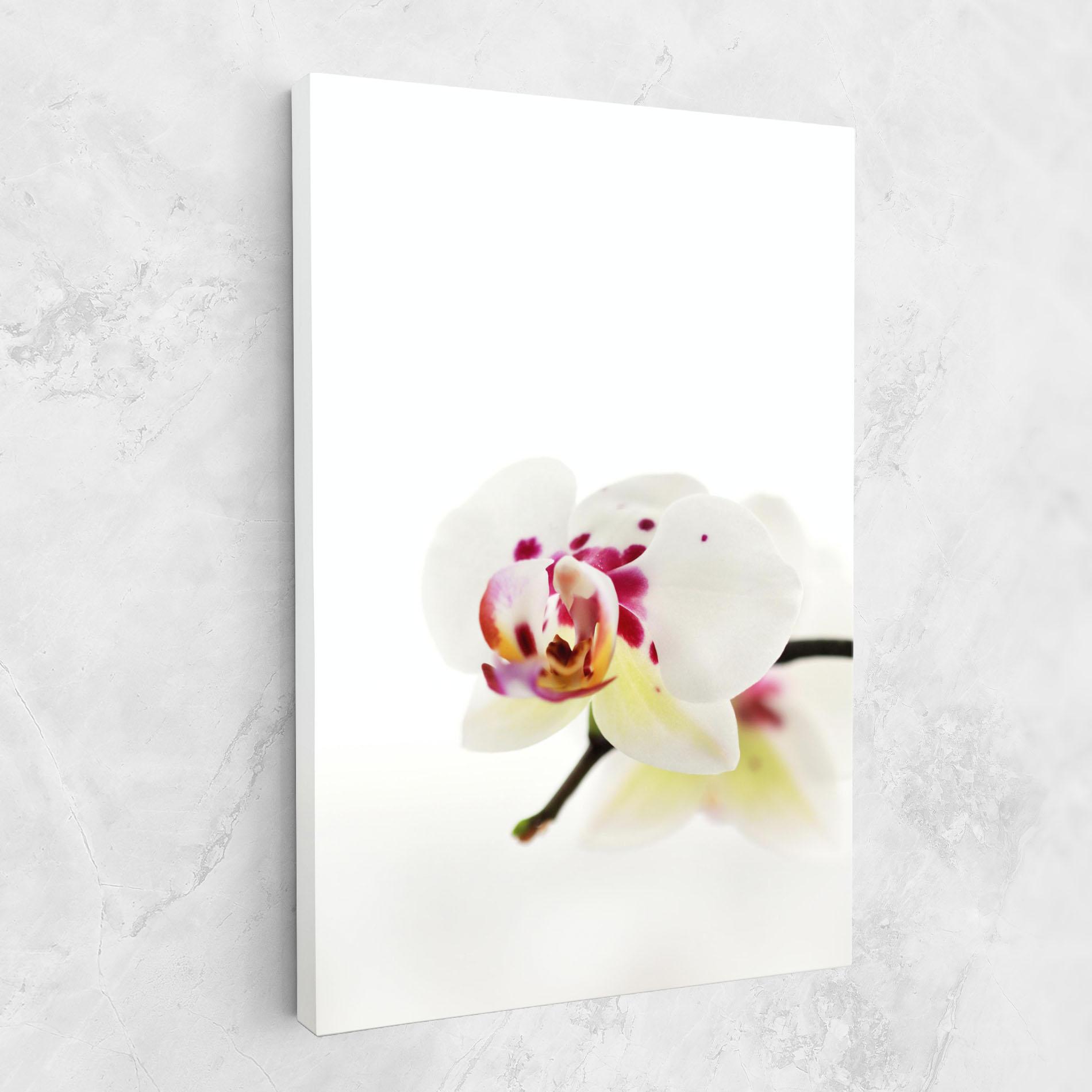 Vászonkép Clean White Orchid mockup 1