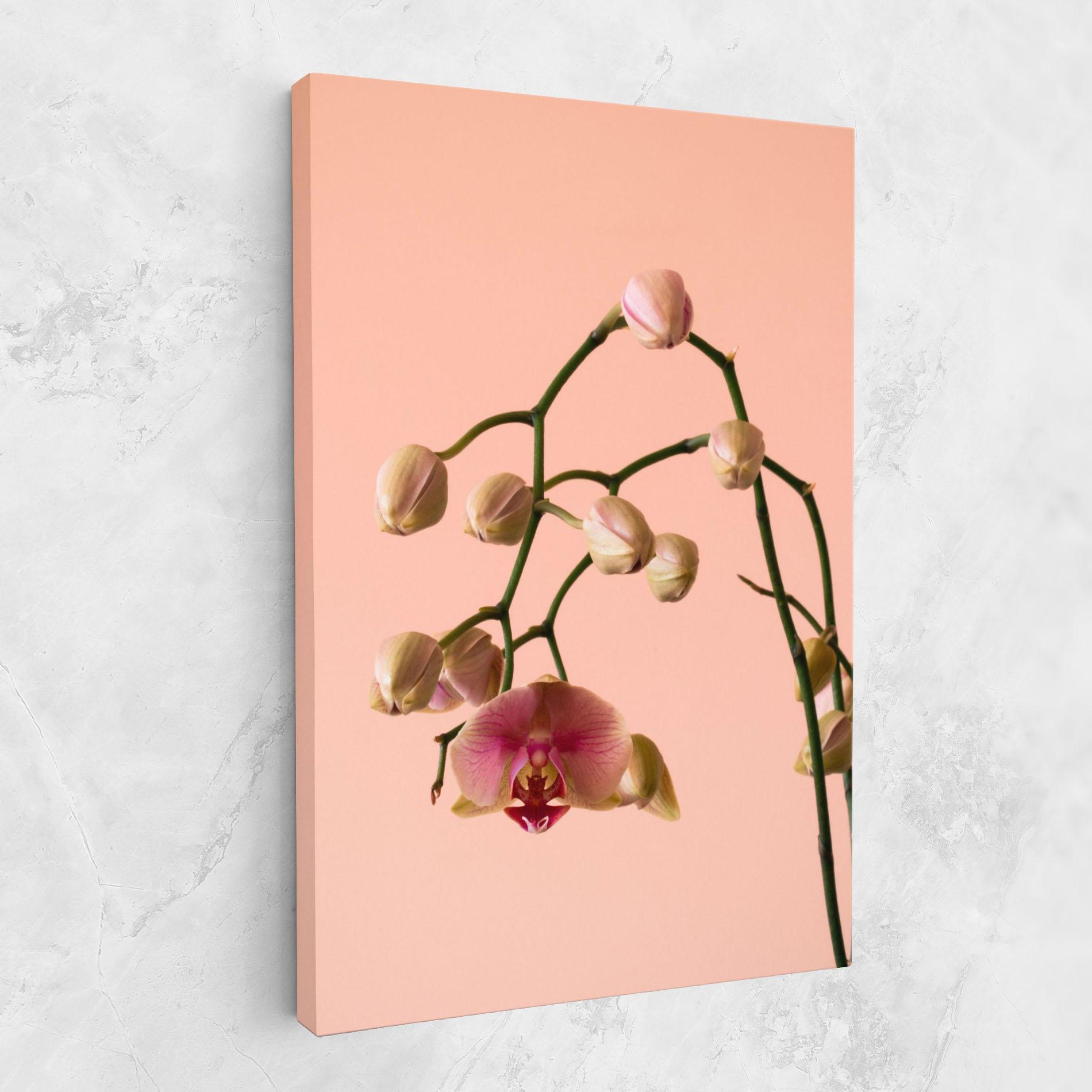 Vászonkép Orchids On Pink mockup 1
