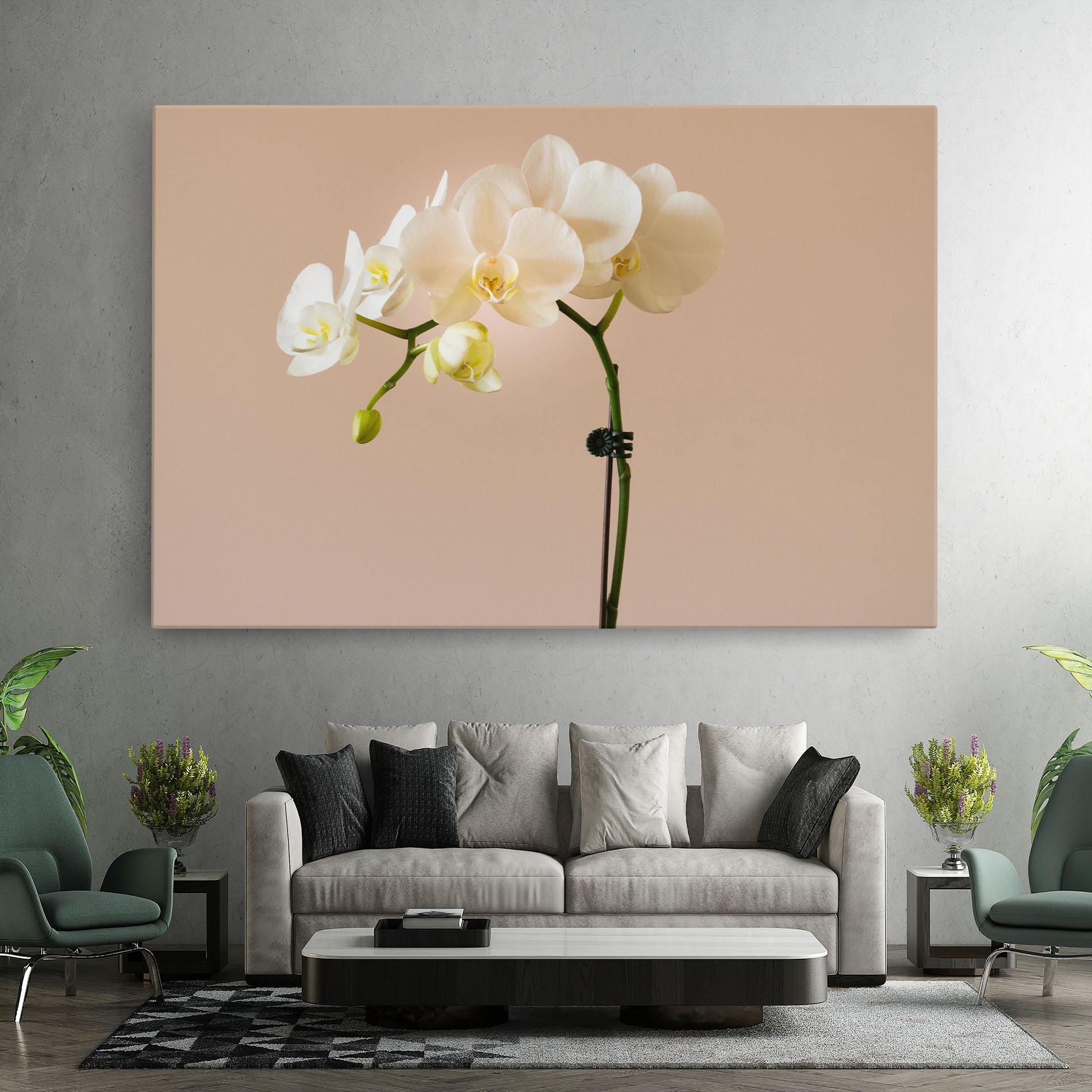 Vászonkép Cream Orchid On Pink mockup 7