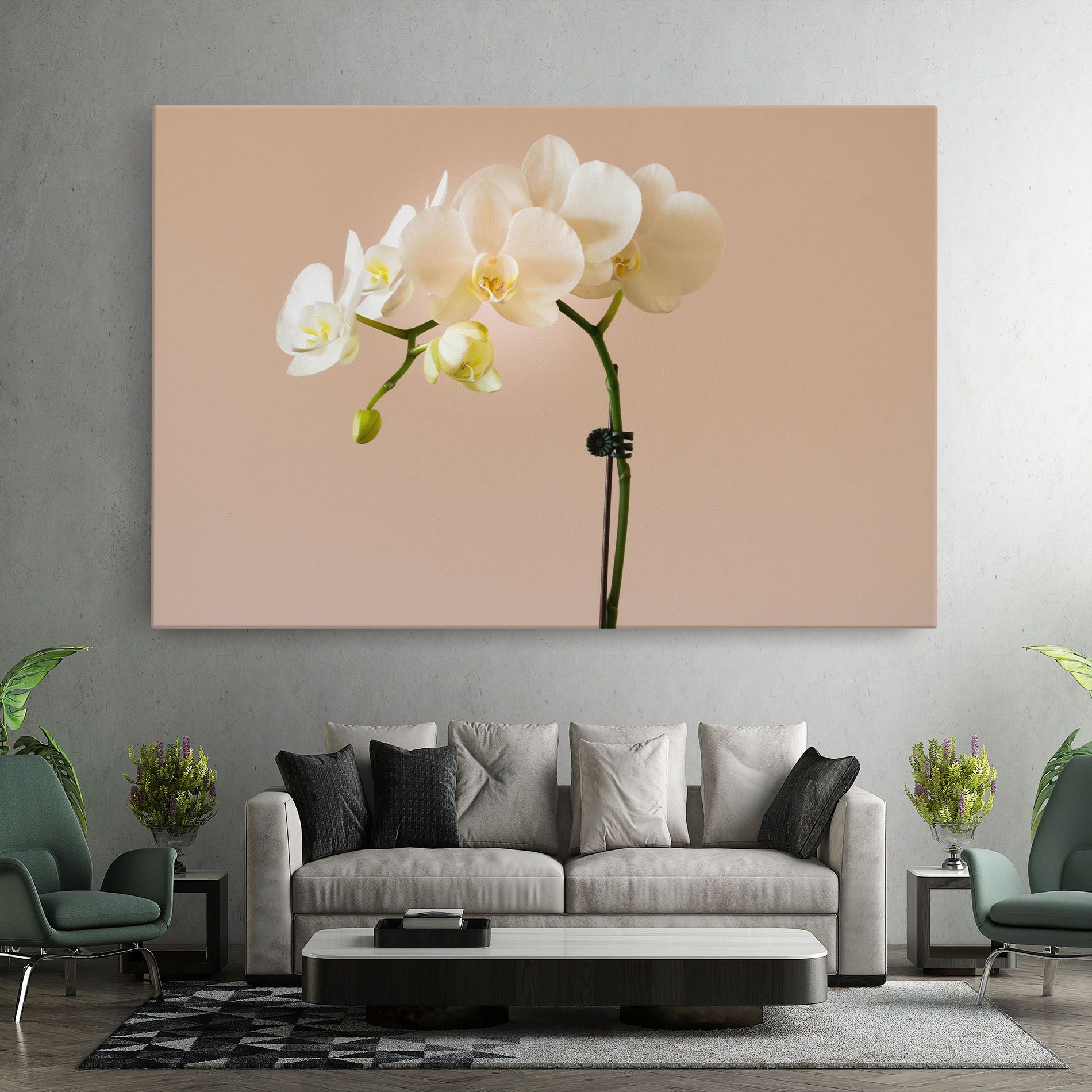 Cream Orchid On Pink mockup 7