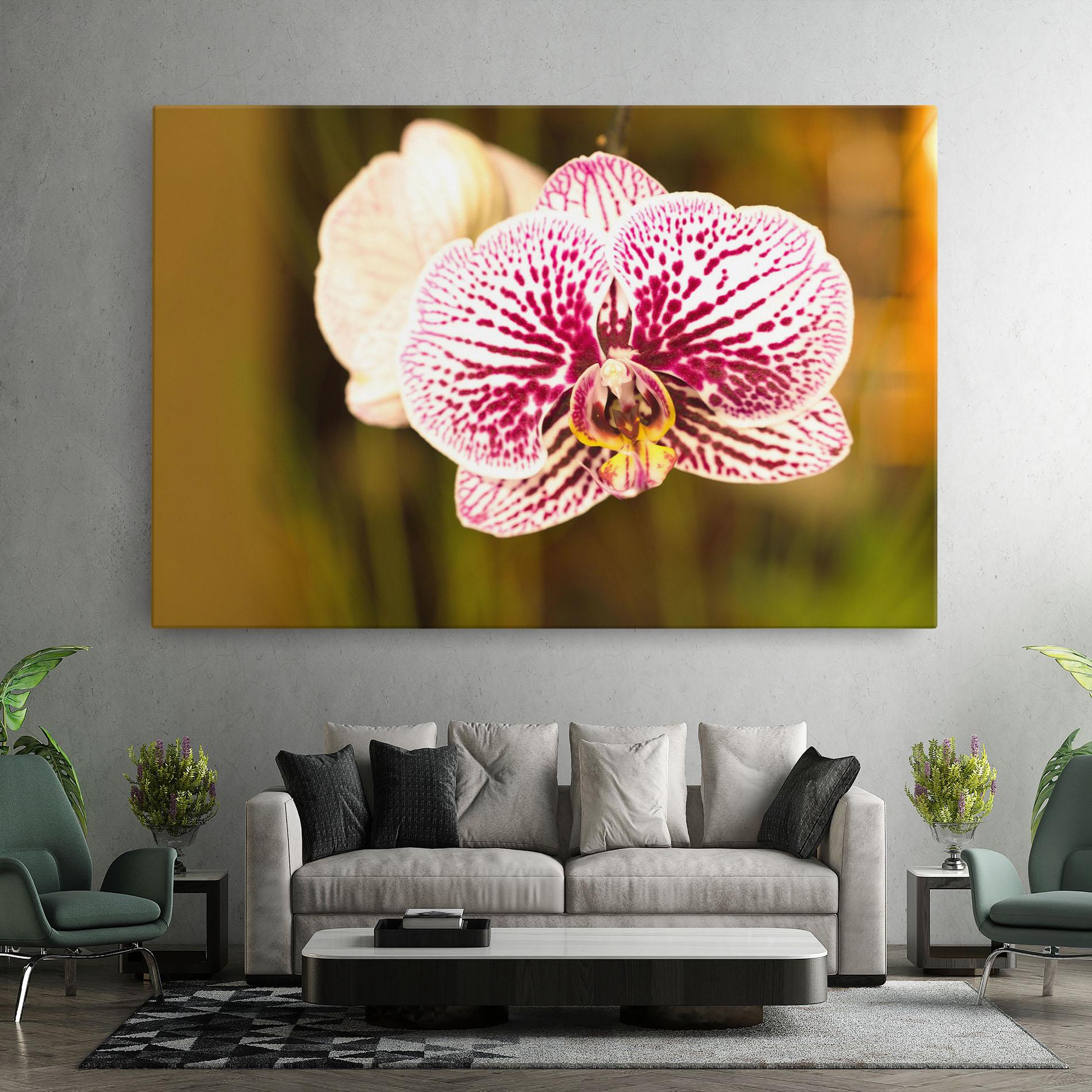 Vászonkép Garden Orchids mockup 7