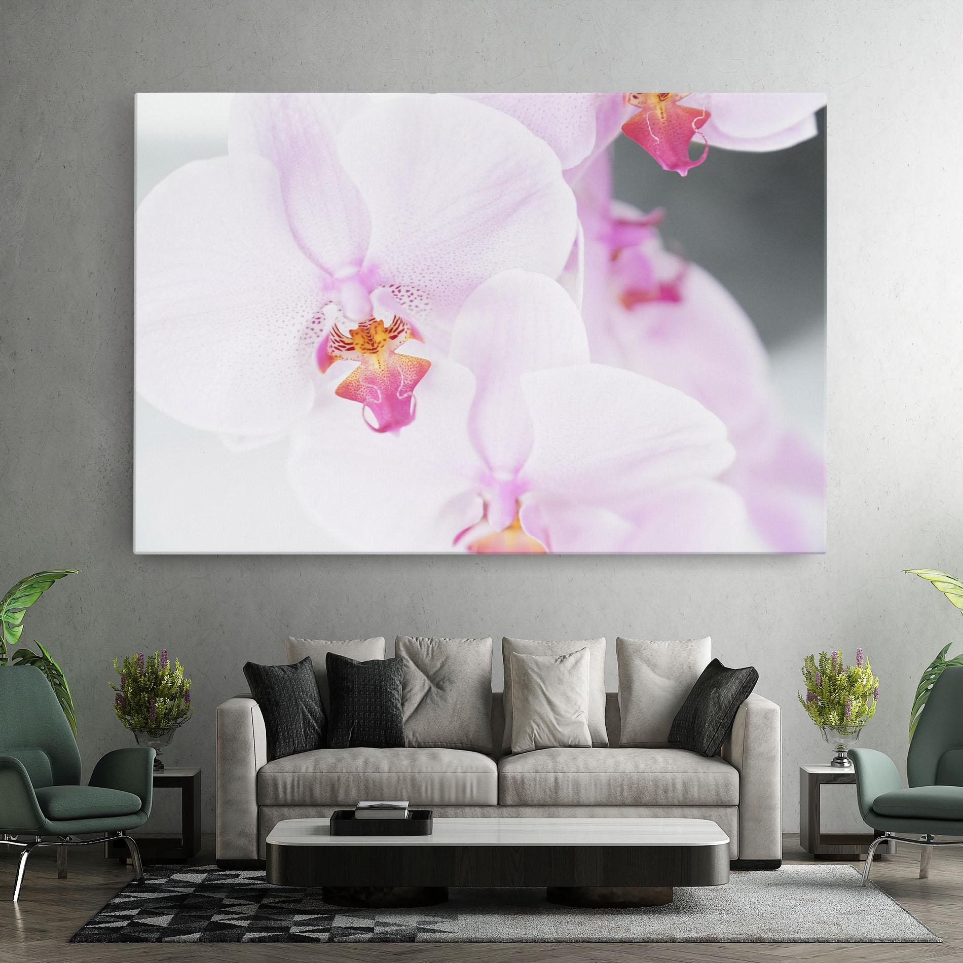 Vászonkép Light Purple Orchid mockup 7