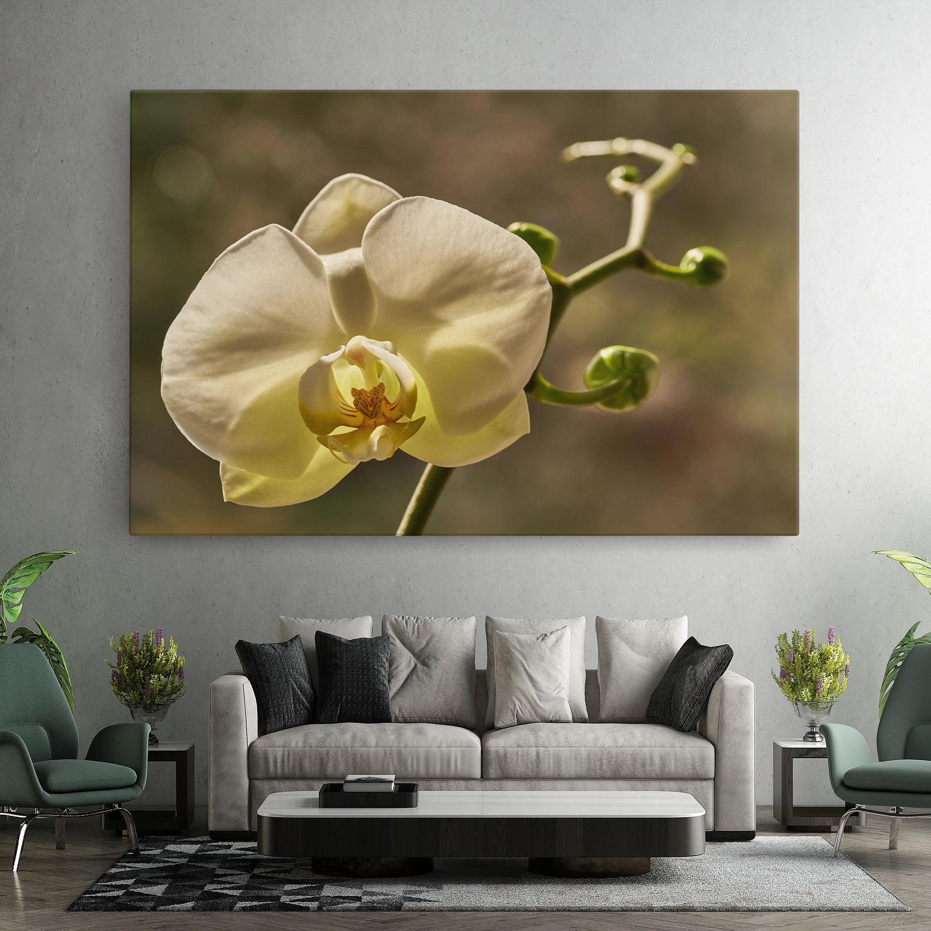Vászonkép Pastel Yellow Orchid In Garden mockup 7