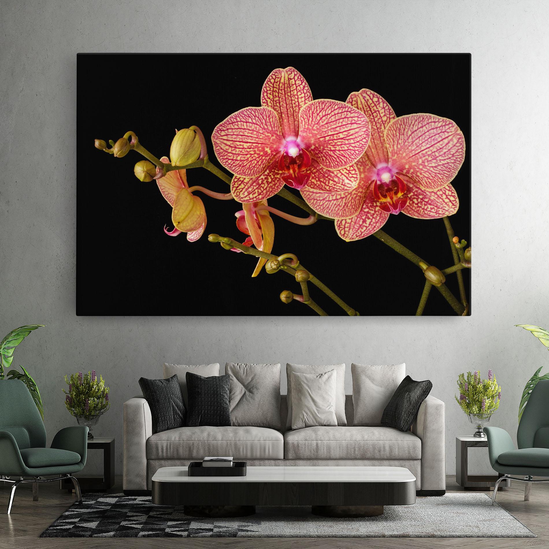 Vászonkép Pink Orchids On Black mockup 7