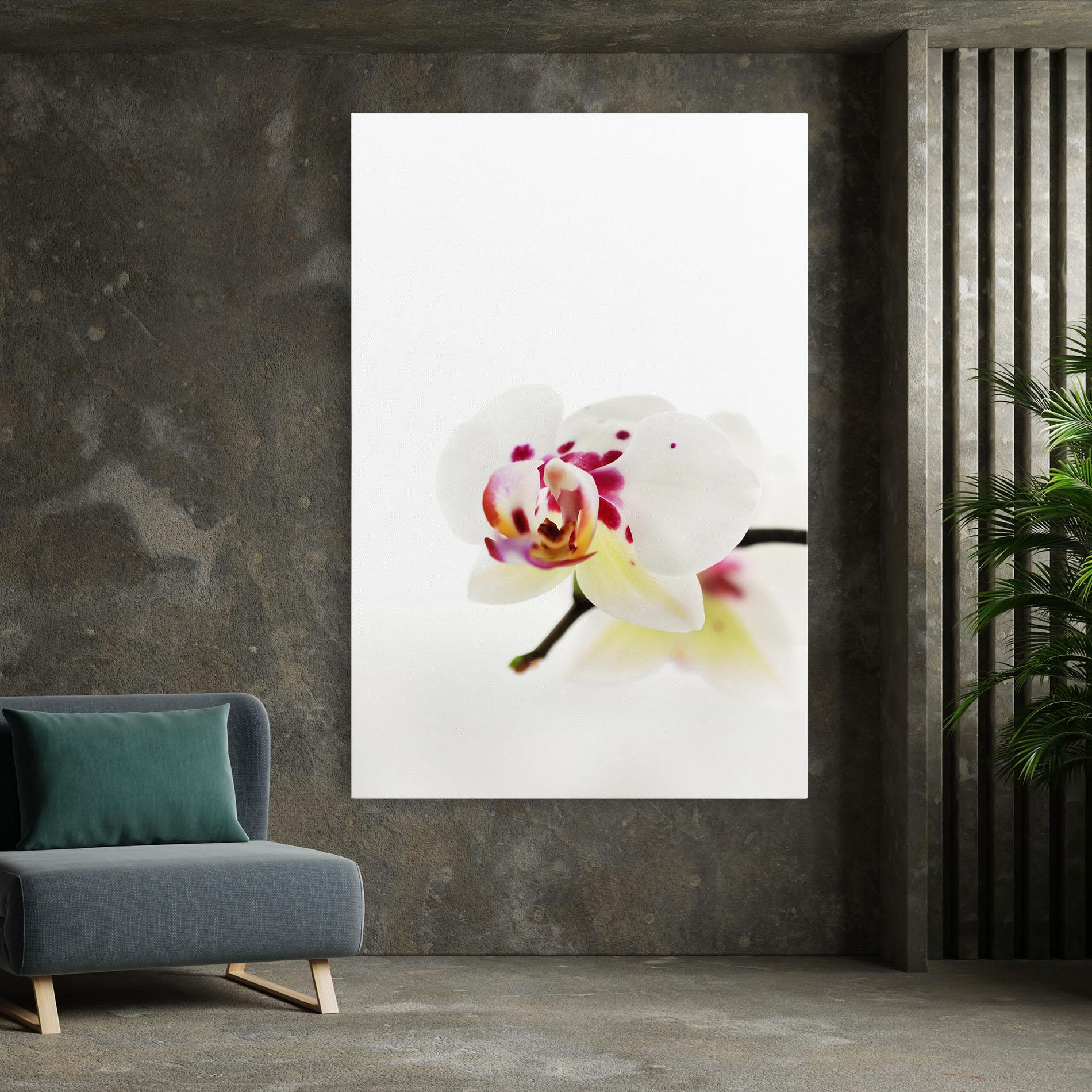 Vászonkép Clean White Orchid mockup 7