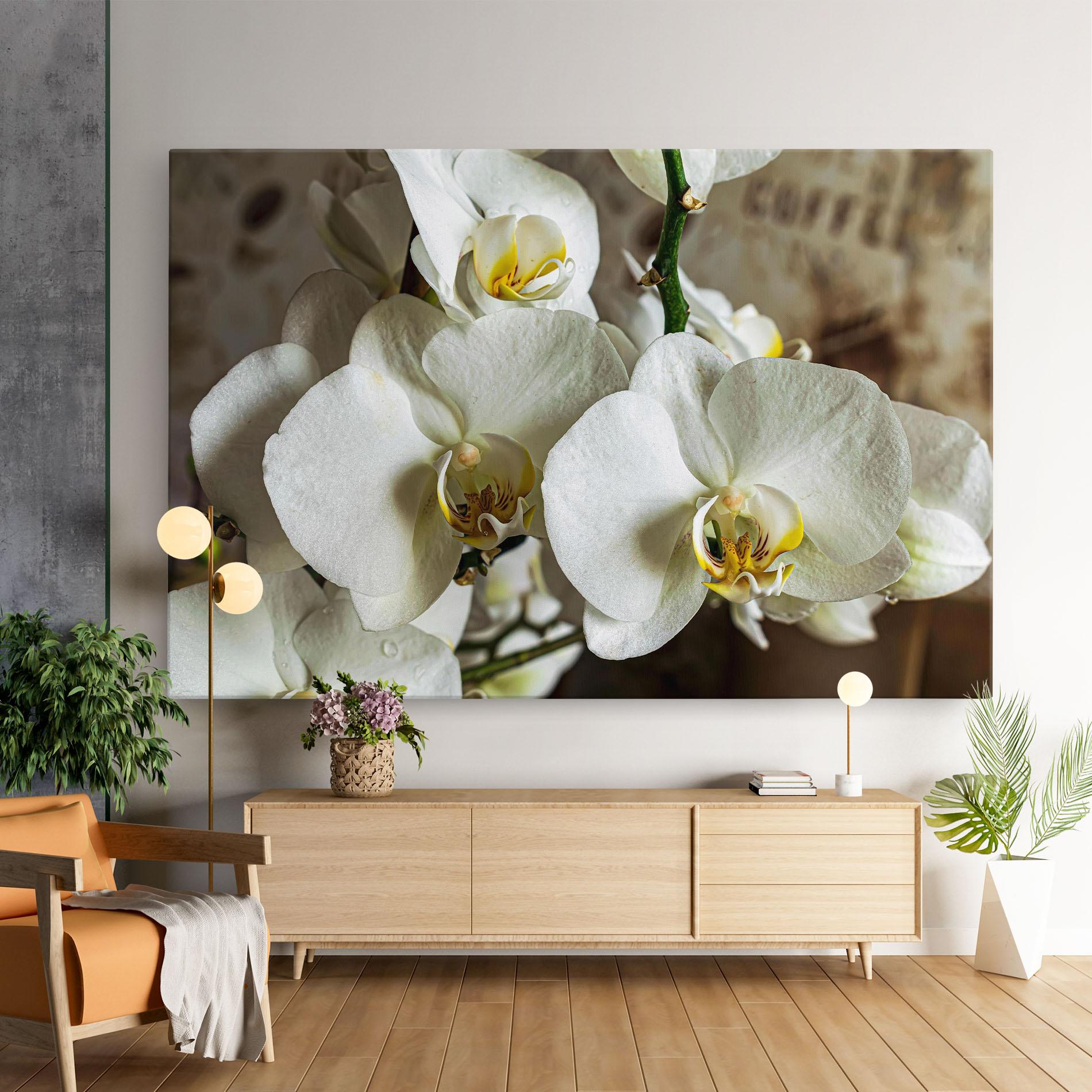 Vászonkép Beautiful White Orchids mockup 9