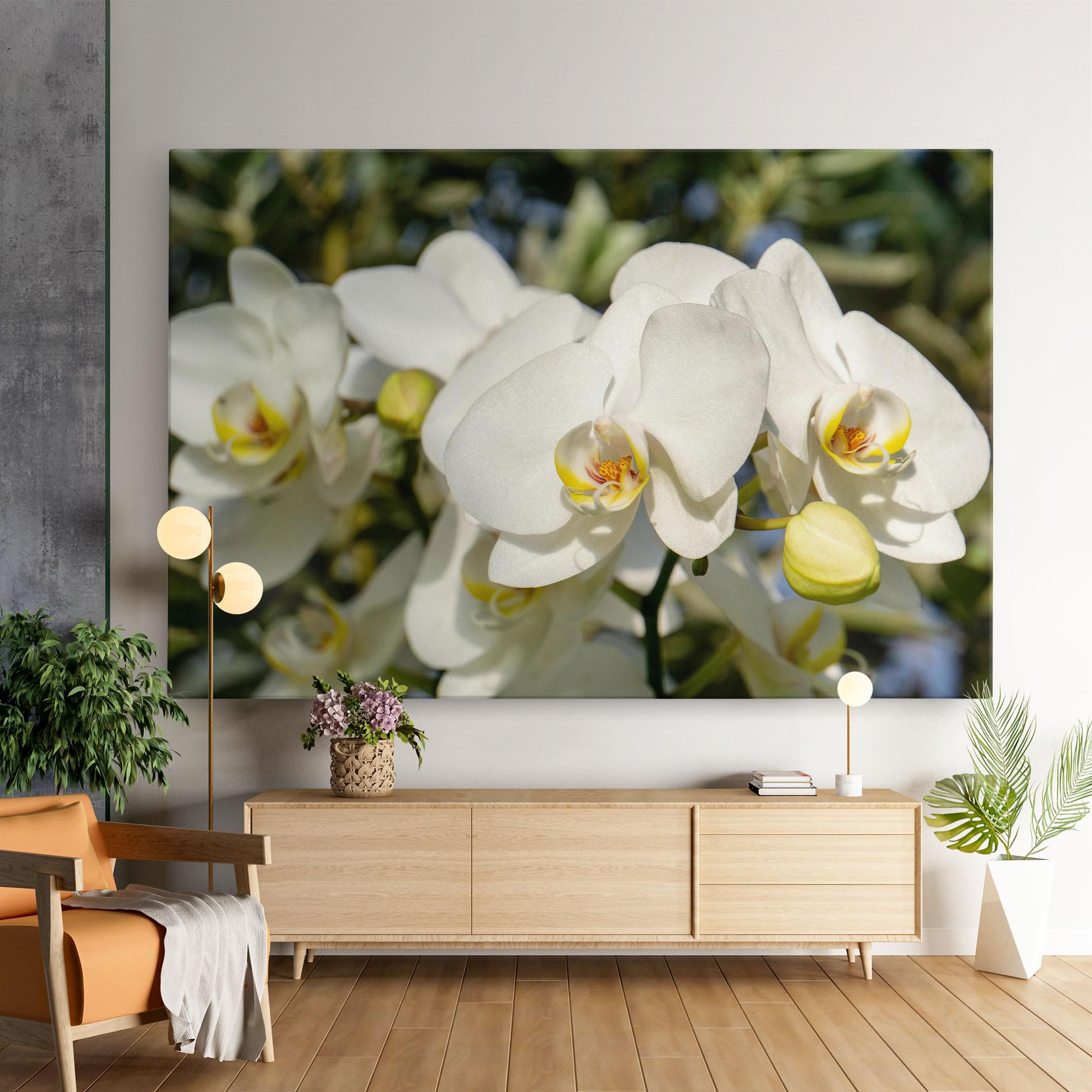 Vászonkép Big Orchids In Nature mockup 9