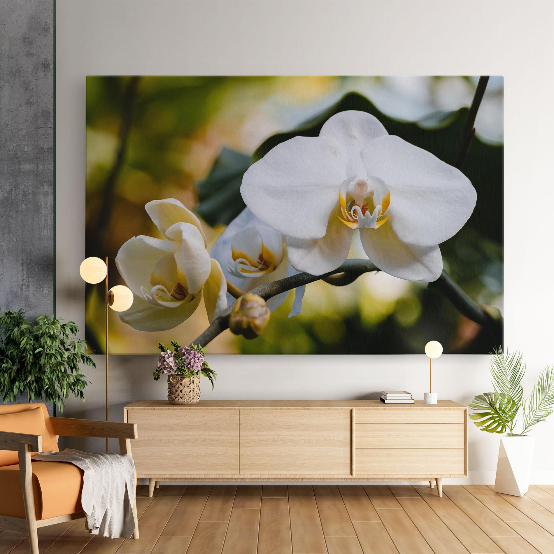 Vászonkép Cream Orchid In Nature mockup 9