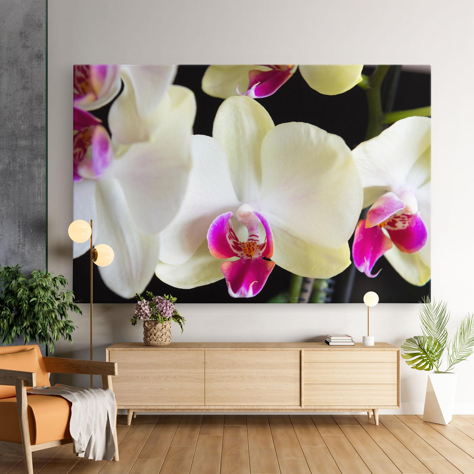 Vászonkép Cream Purple Orchids mockup 9
