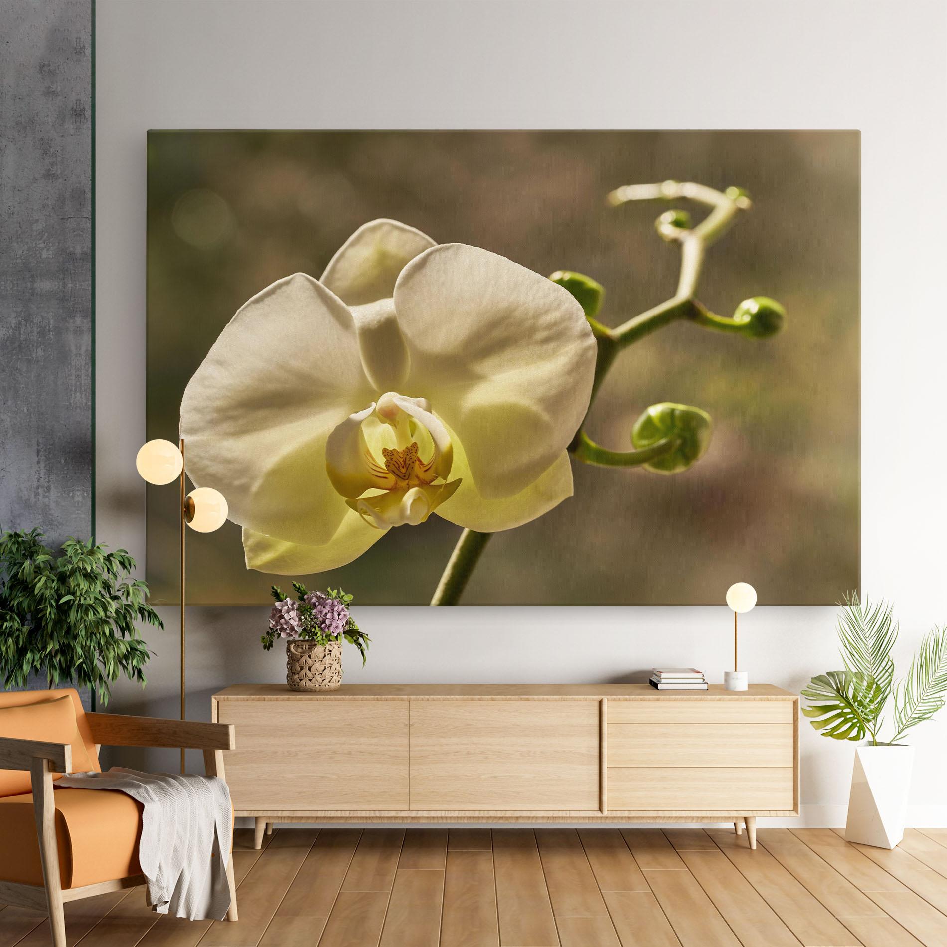 Vászonkép Pastel Yellow Orchid In Garden mockup 9
