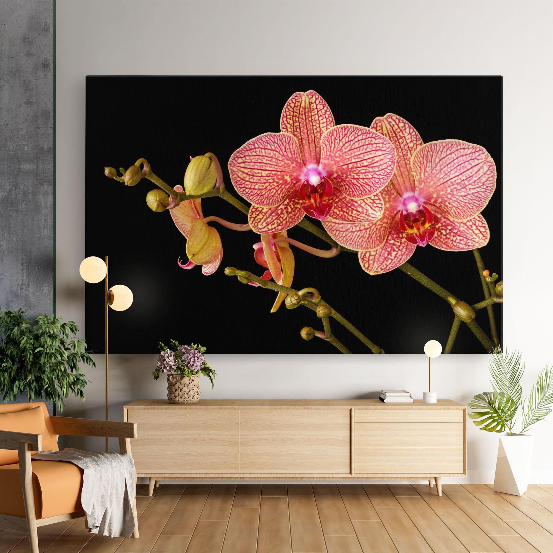 Vászonkép Pink Orchids On Black mockup 9