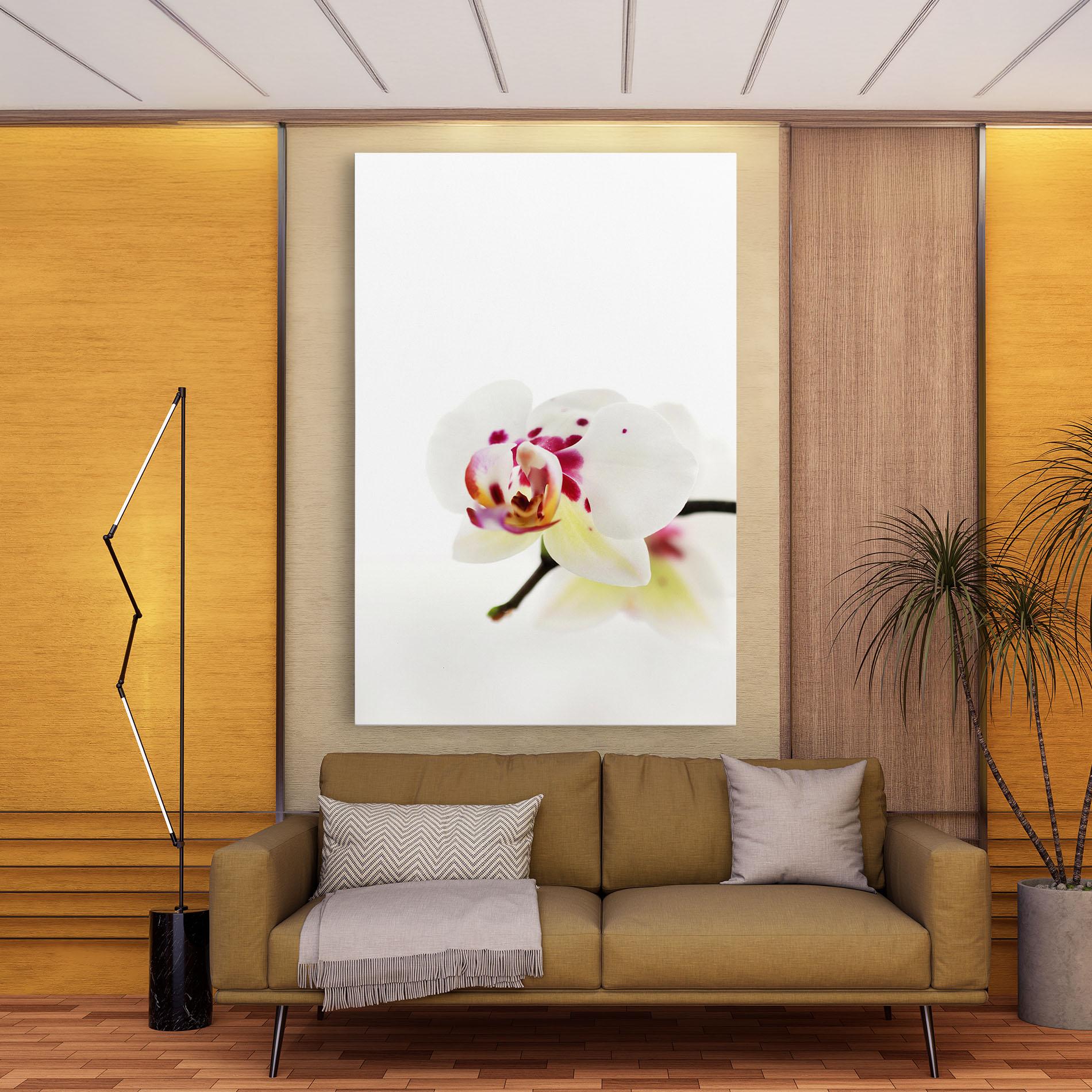 Vászonkép Clean White Orchid mockup 9